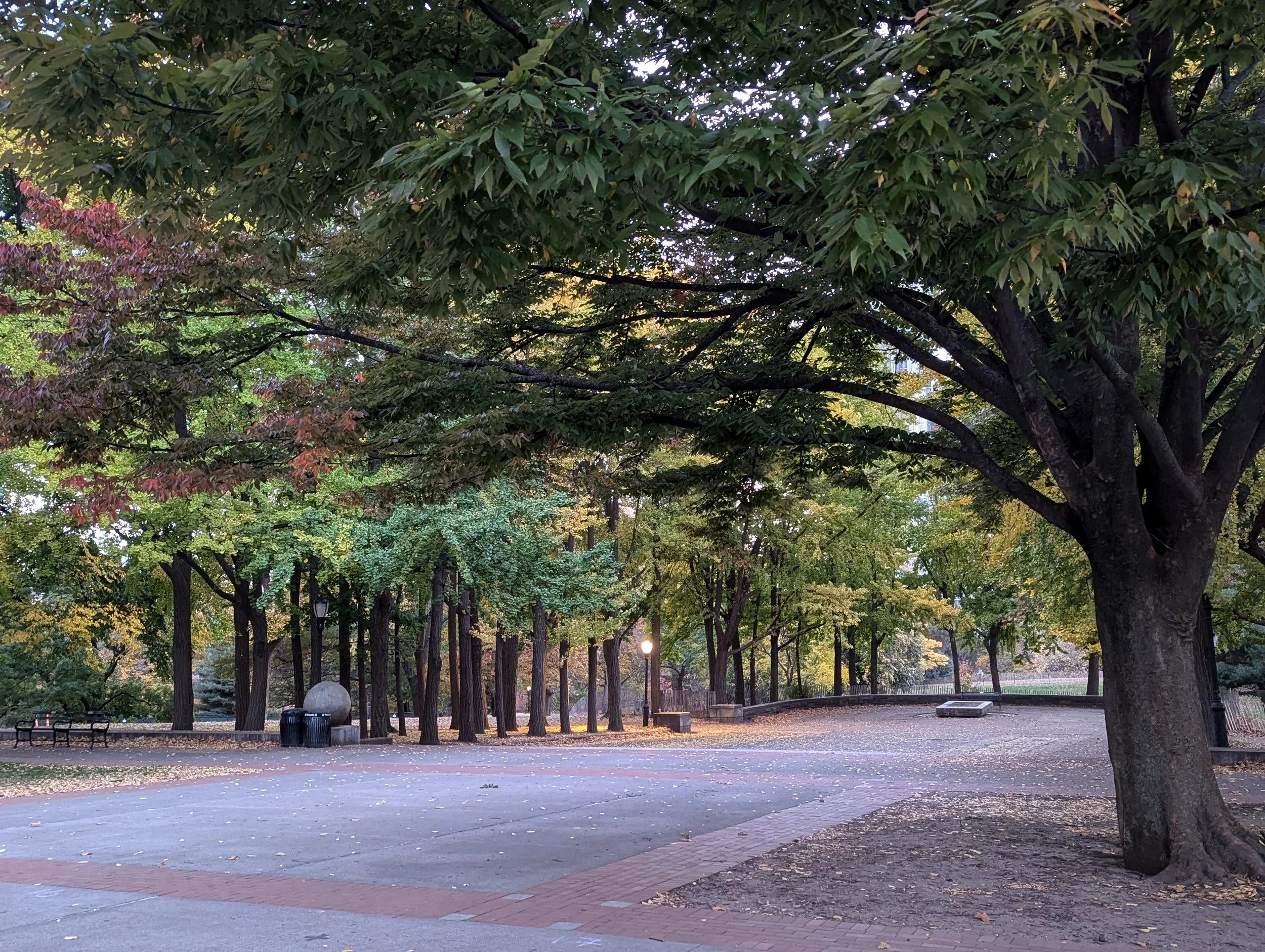 A park scene with large trees, a paved pathway, benches, trash cans, and a lamppost, with fallen leaves on the ground and soft evening light.
