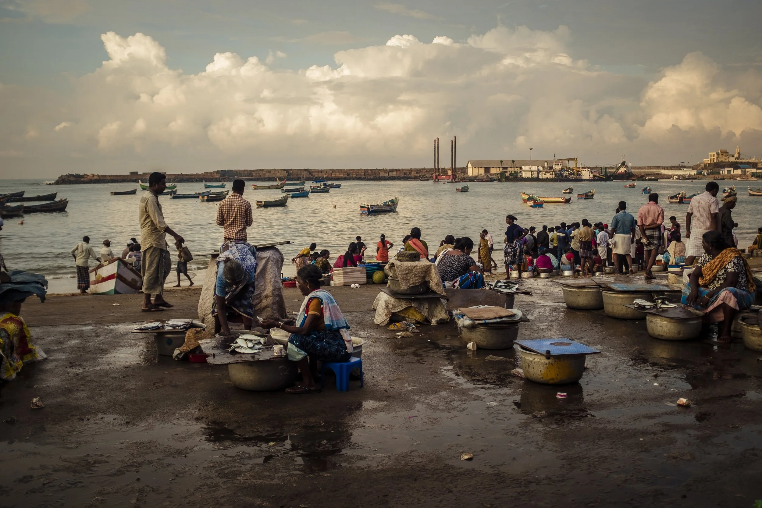 Busy workers at fishing port Vizhinjam International Seaport Thiruvananthapuram