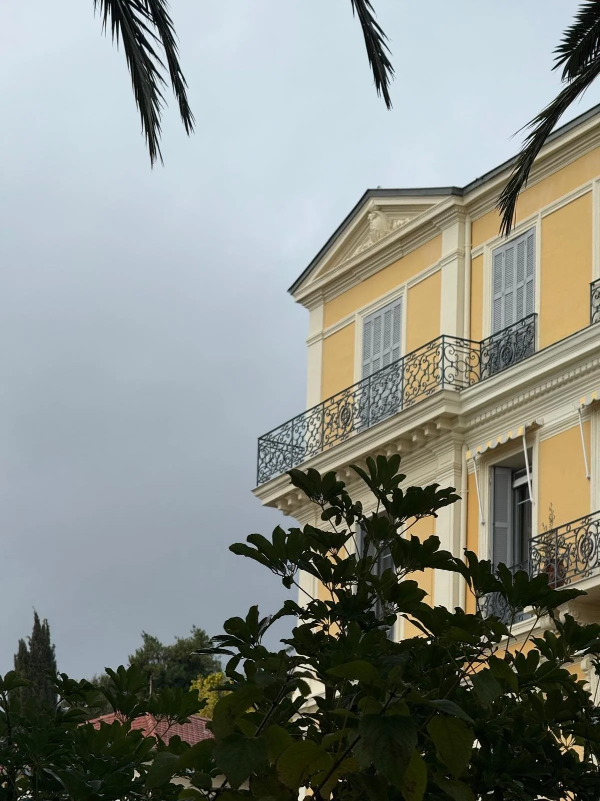 WhatsApp Image 2026-03-31 at 17.23.55.jpeg