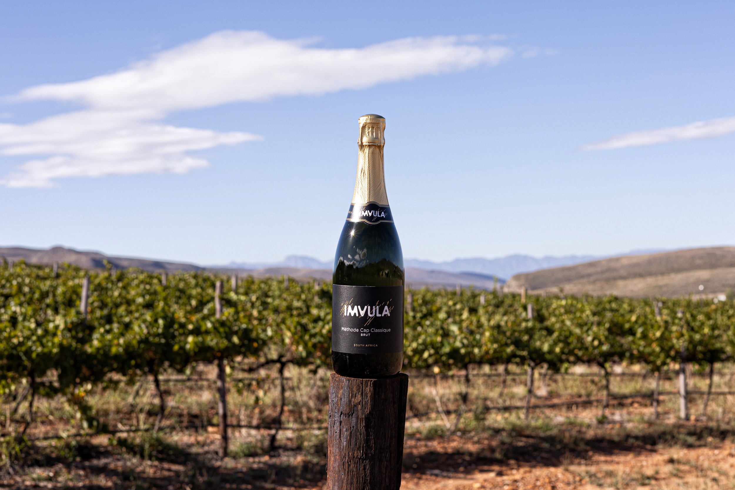 Imvula_0110.jpg