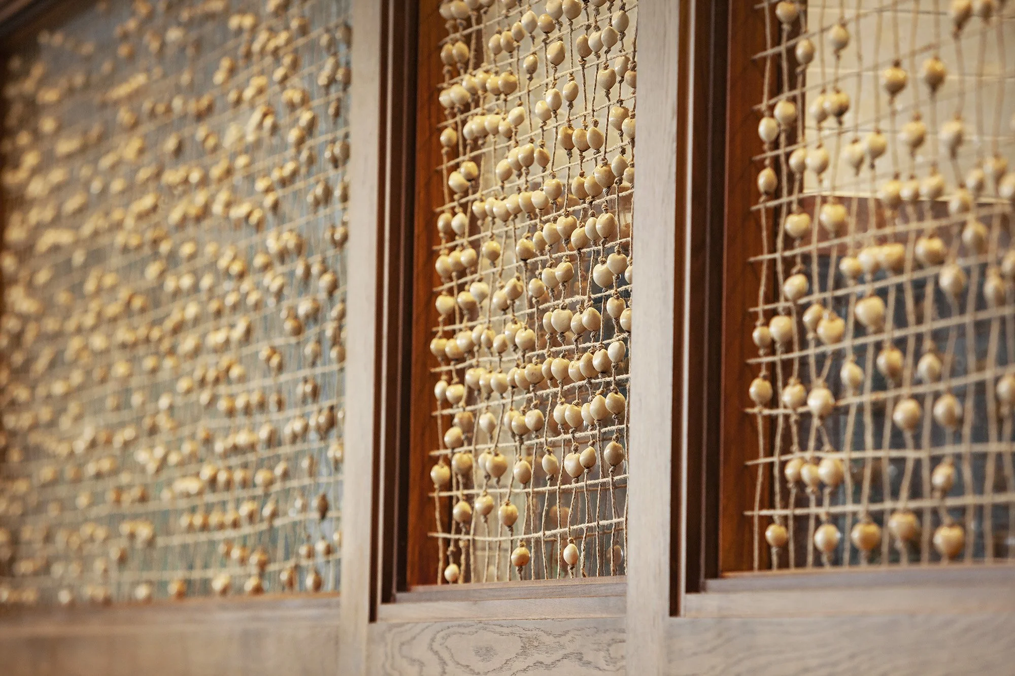 Vignette_4562 copy.jpg