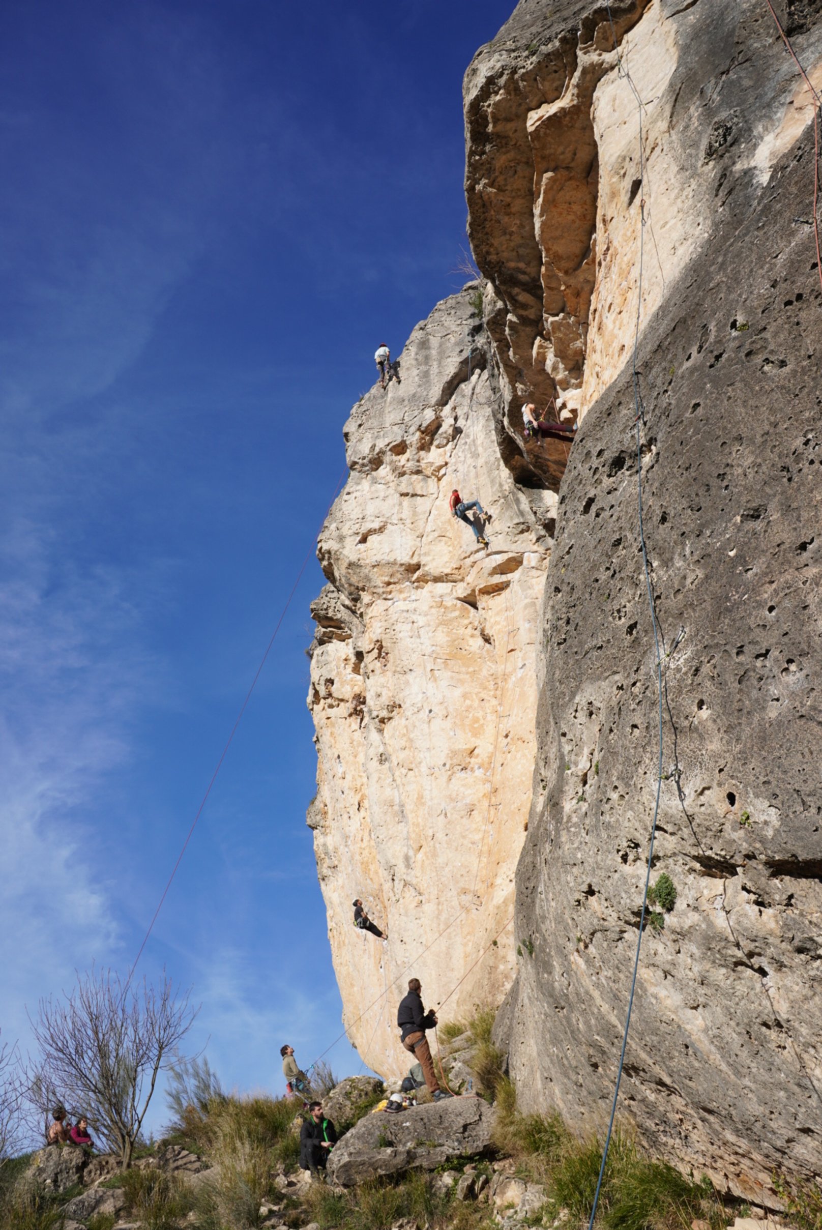 People rock climbing on a tall outdoor rock face under a clear blue sky, with some climbers ascending and others belaying on the ground.