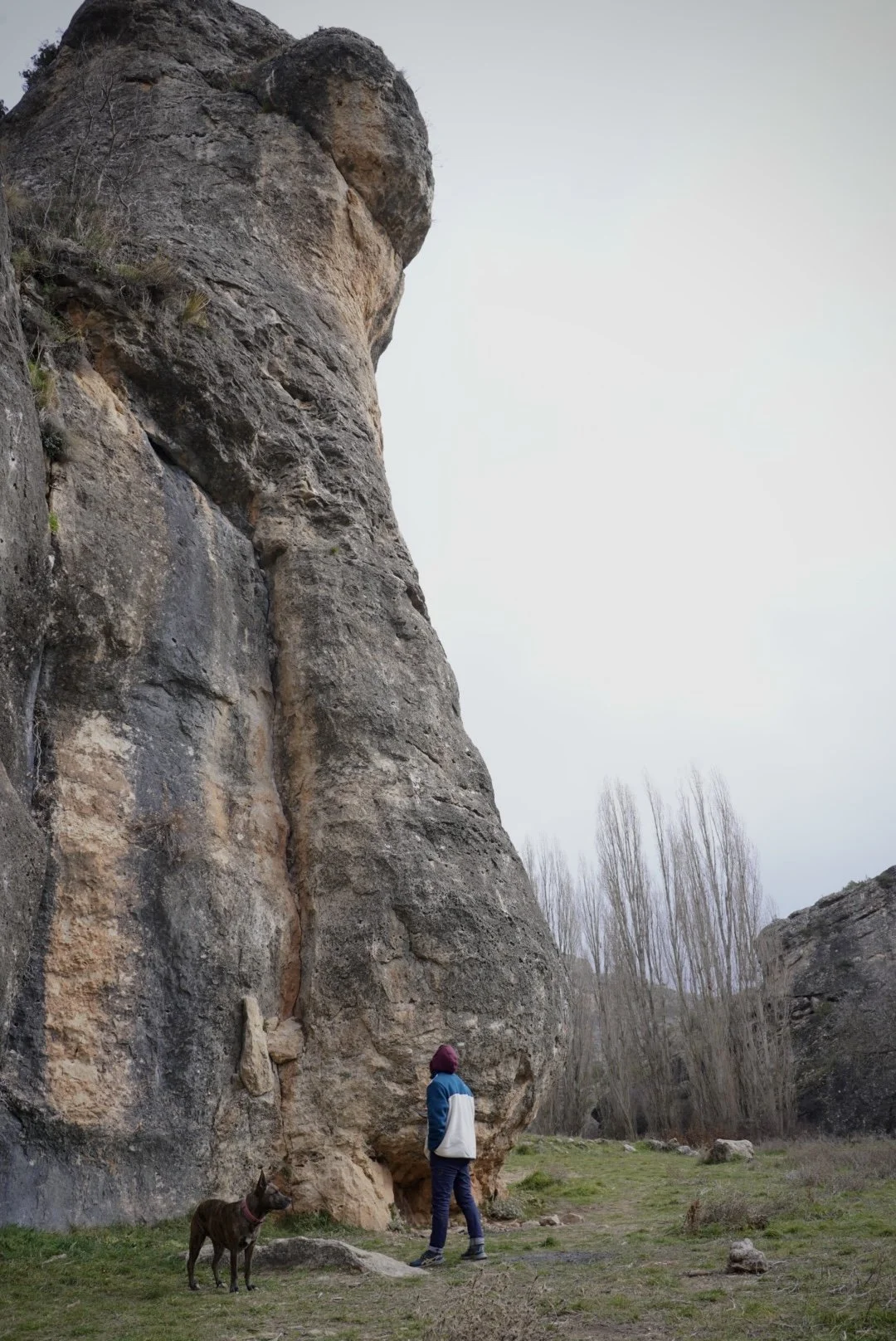 A person wearing a blue and white jacket and a maroon hat standing next to a dog, looking at a large rock formation outdoors with bare trees in the distance.