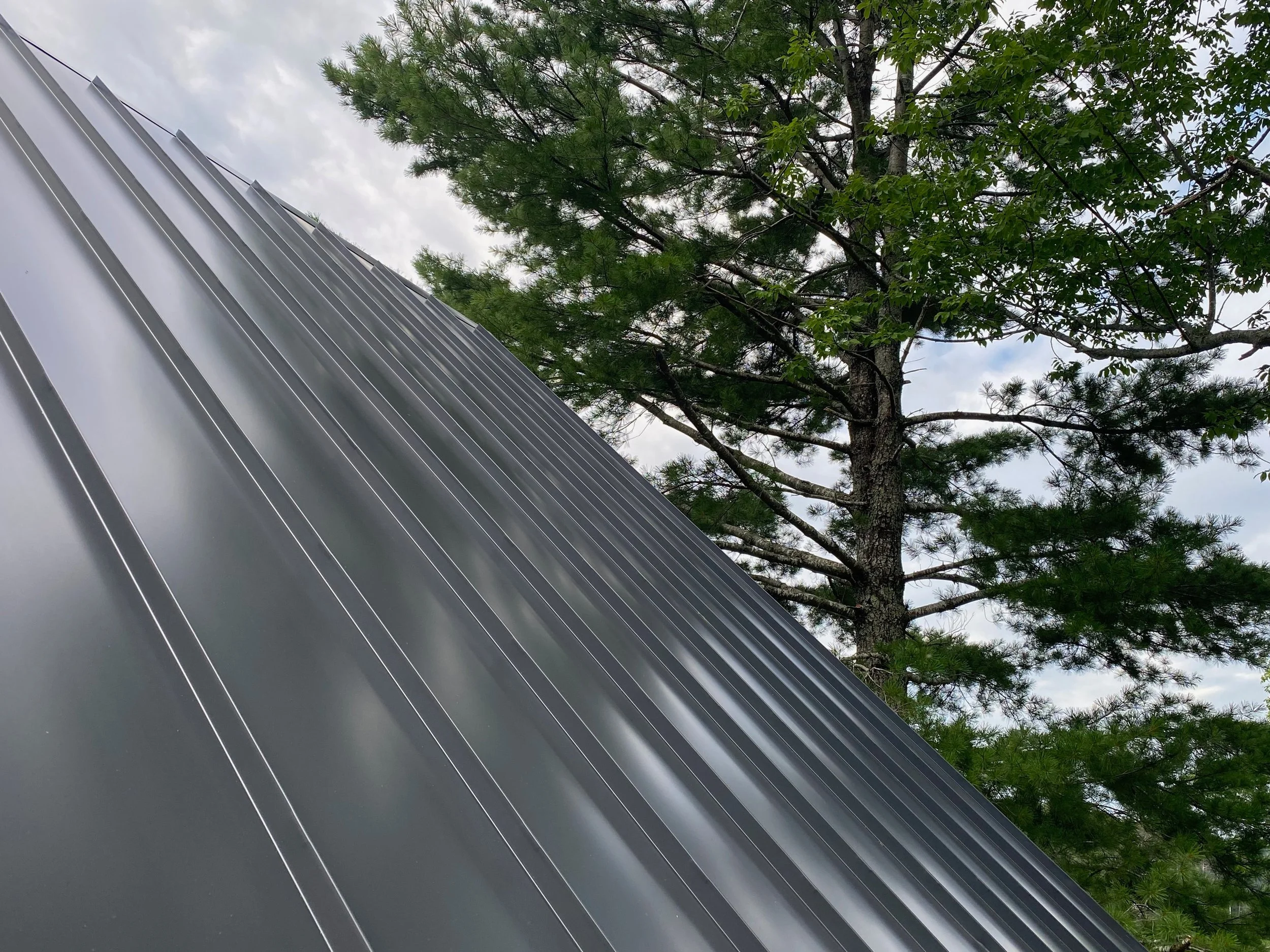 Close-up of a metal roof with parallel ridges, and a green leafy tree in the background under a partly cloudy sky.
