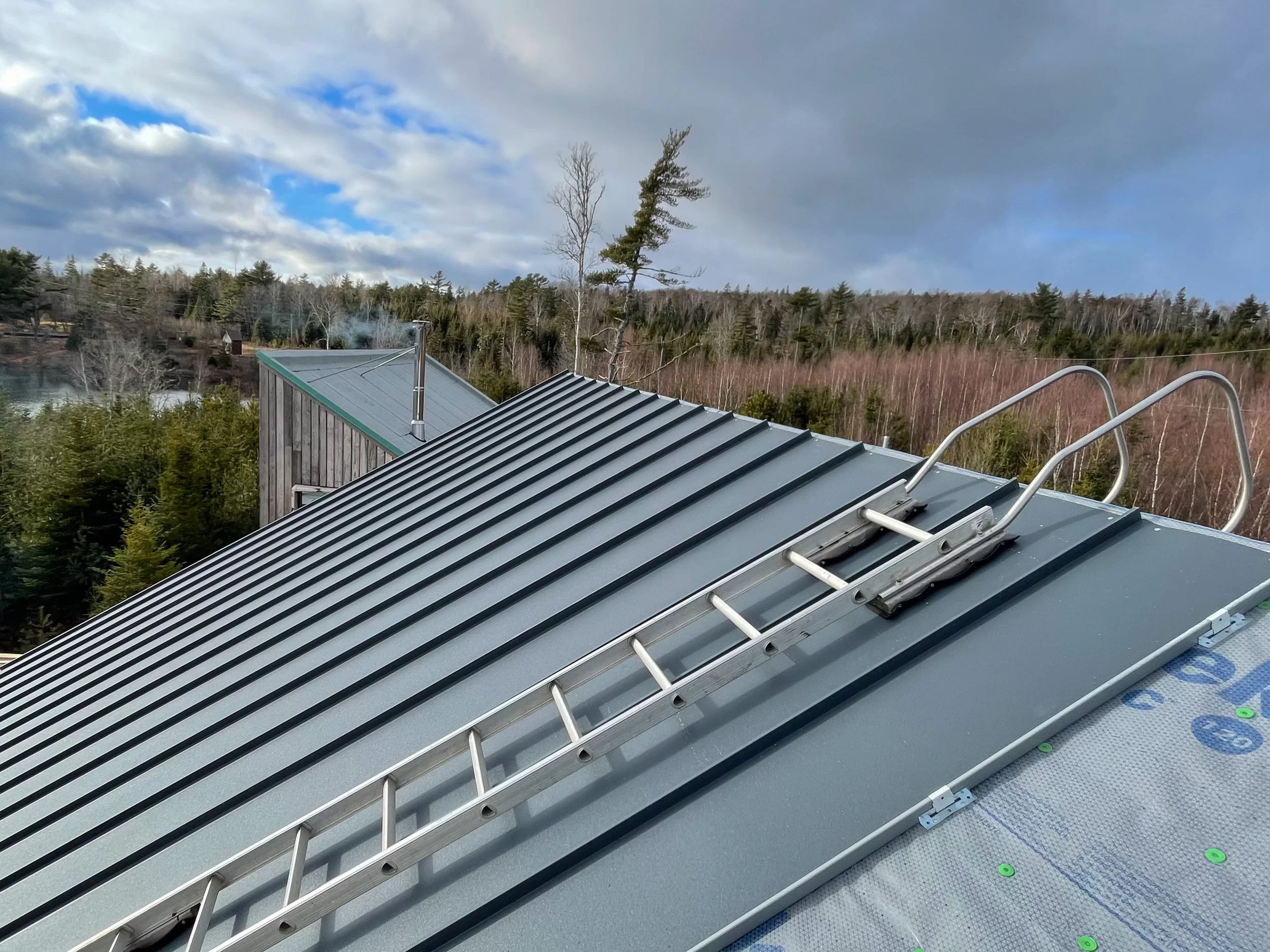 View of a metal rooftop with a ladder and safety rails, overlooking a rural landscape with trees, a small building, and a body of water under a cloudy sky.