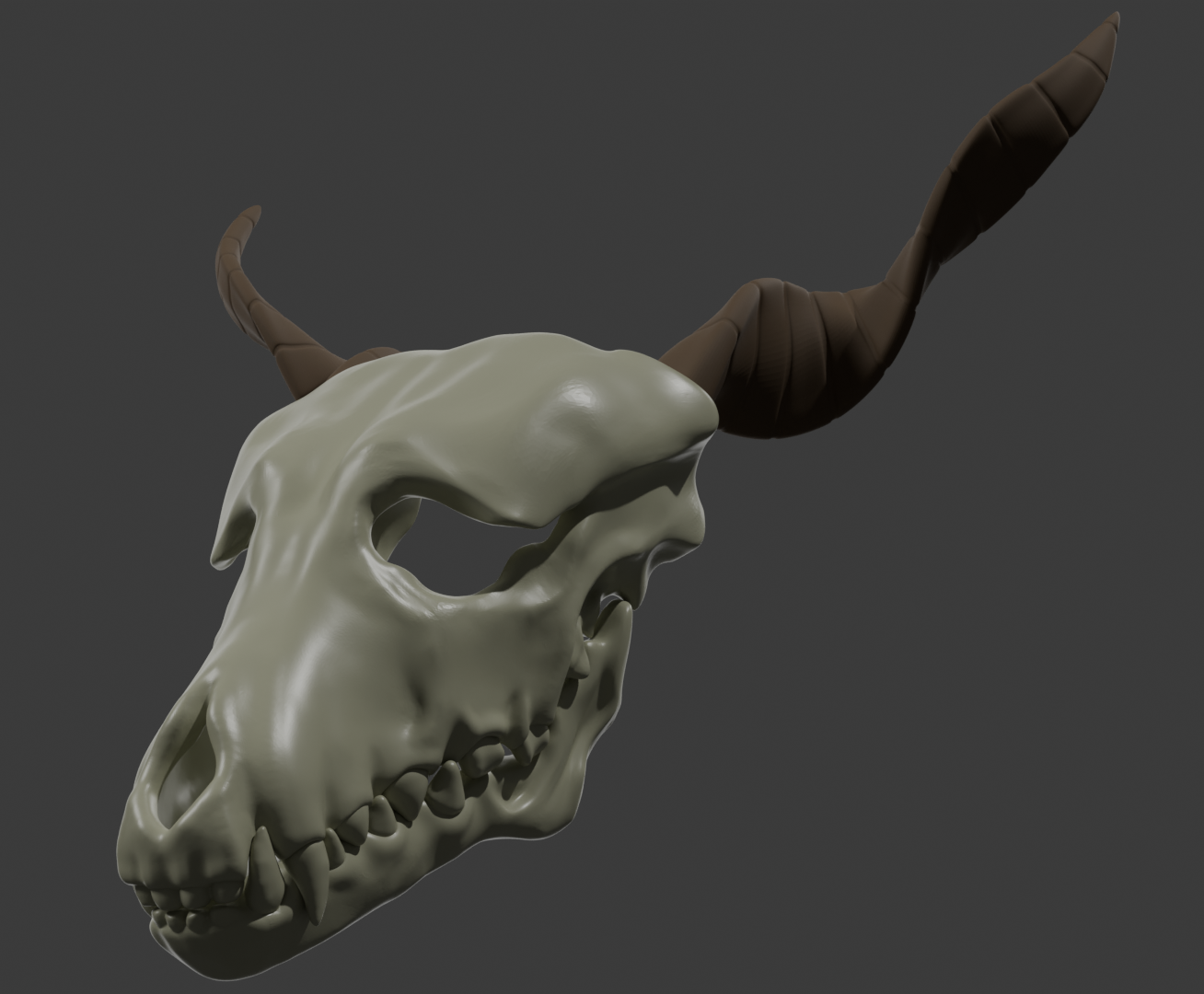 Elias Skull 3D Model.png