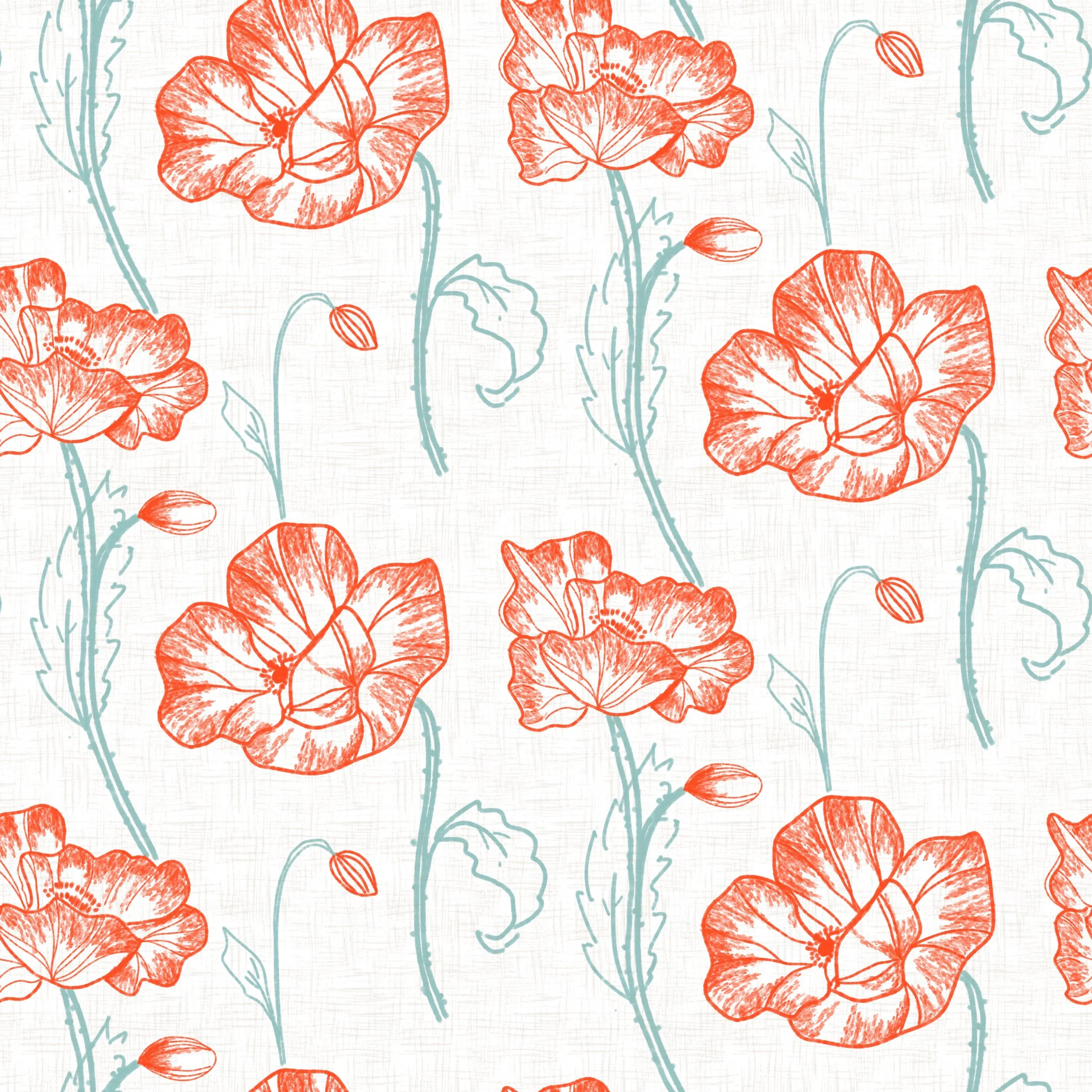 Poppies hero 1.jpg