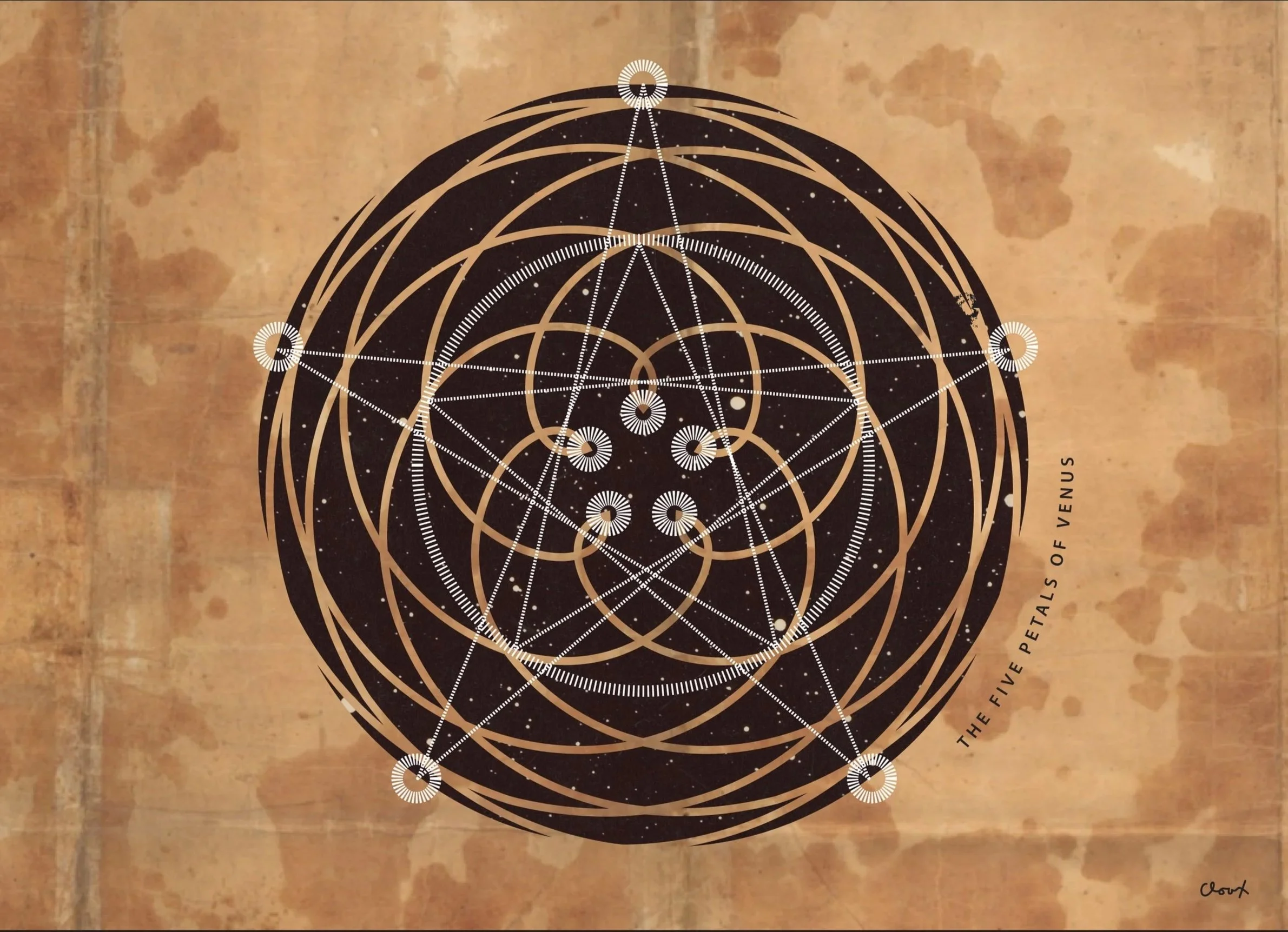 venusFinal.jpg