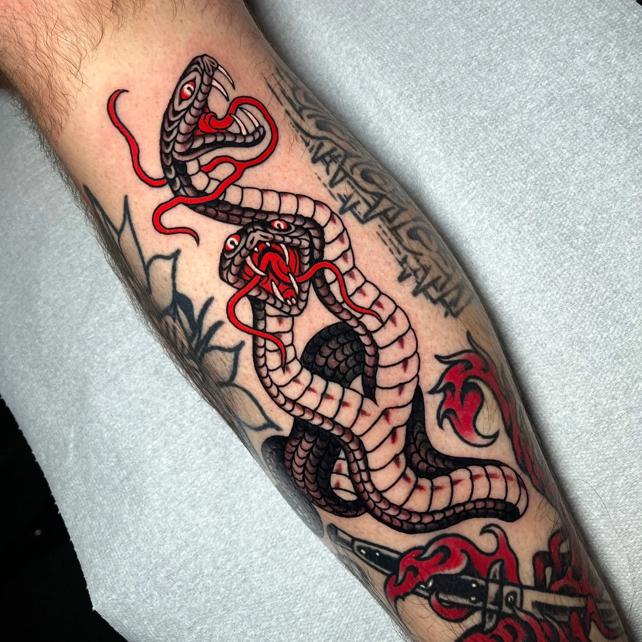 Traditional tattoo of a black and gray snake with red tongue, the snake has two heads