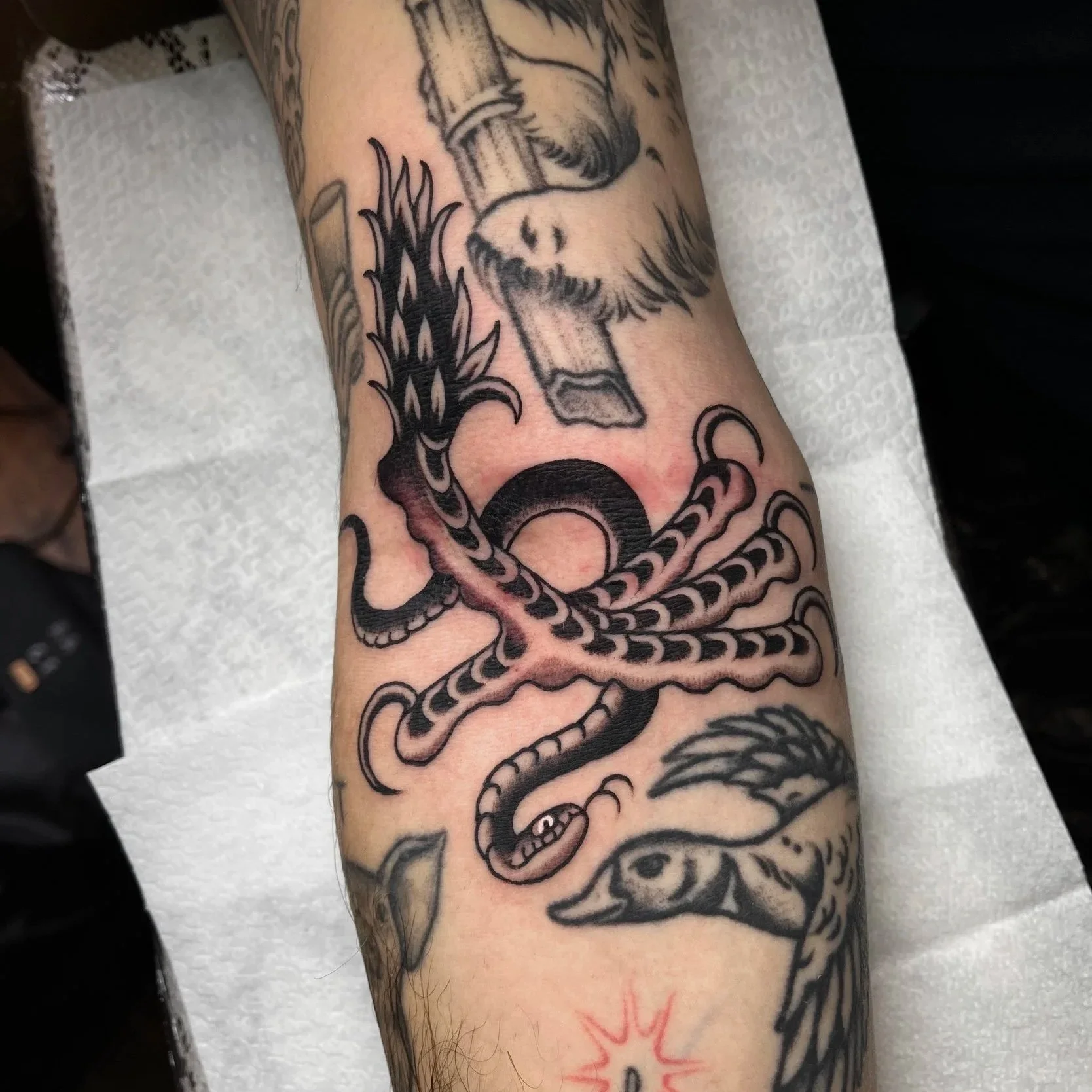 Tattoo of an octopus with detailed, black outline and shading on person's forearm.