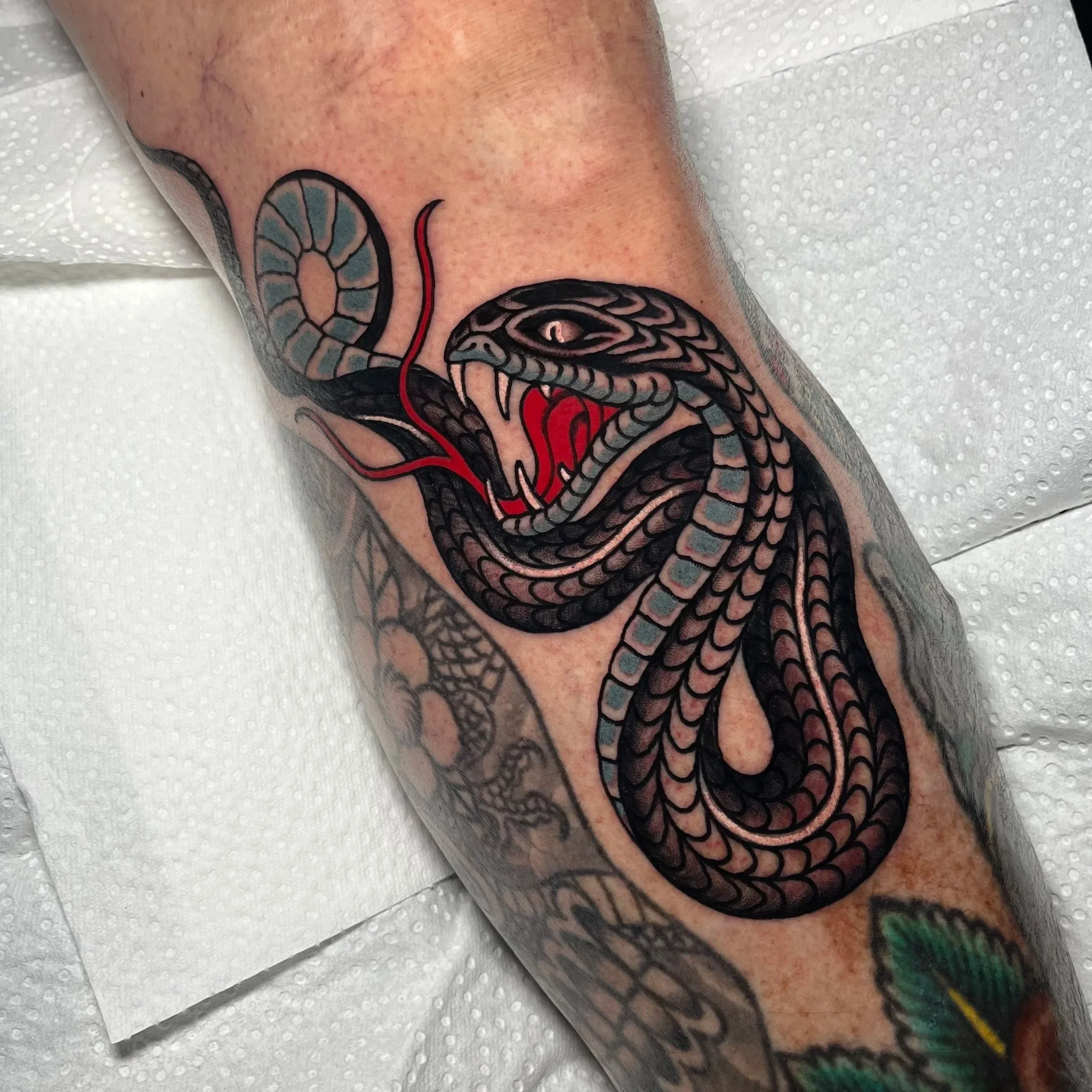 Tattoo of a coiled snake with its mouth open, showing fangs and red tongue, on a person's arm.