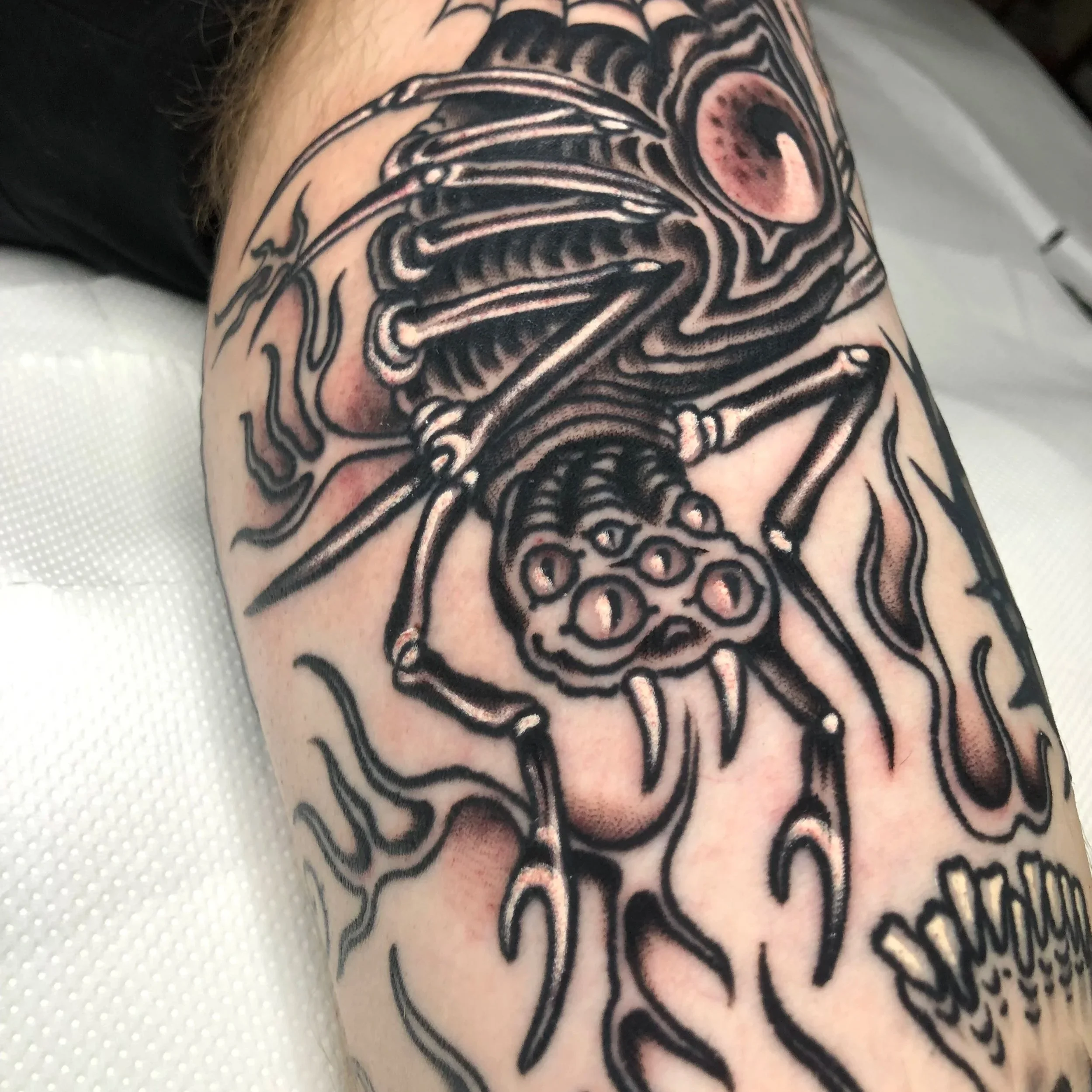 Black and gray tattoo of a spider with a detailed body and legs, and a large, round eye, on a person's arm.