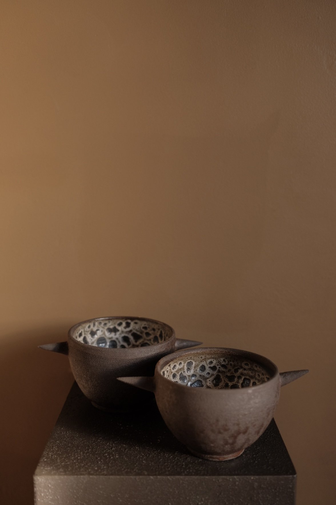 DSCF4831.jpg