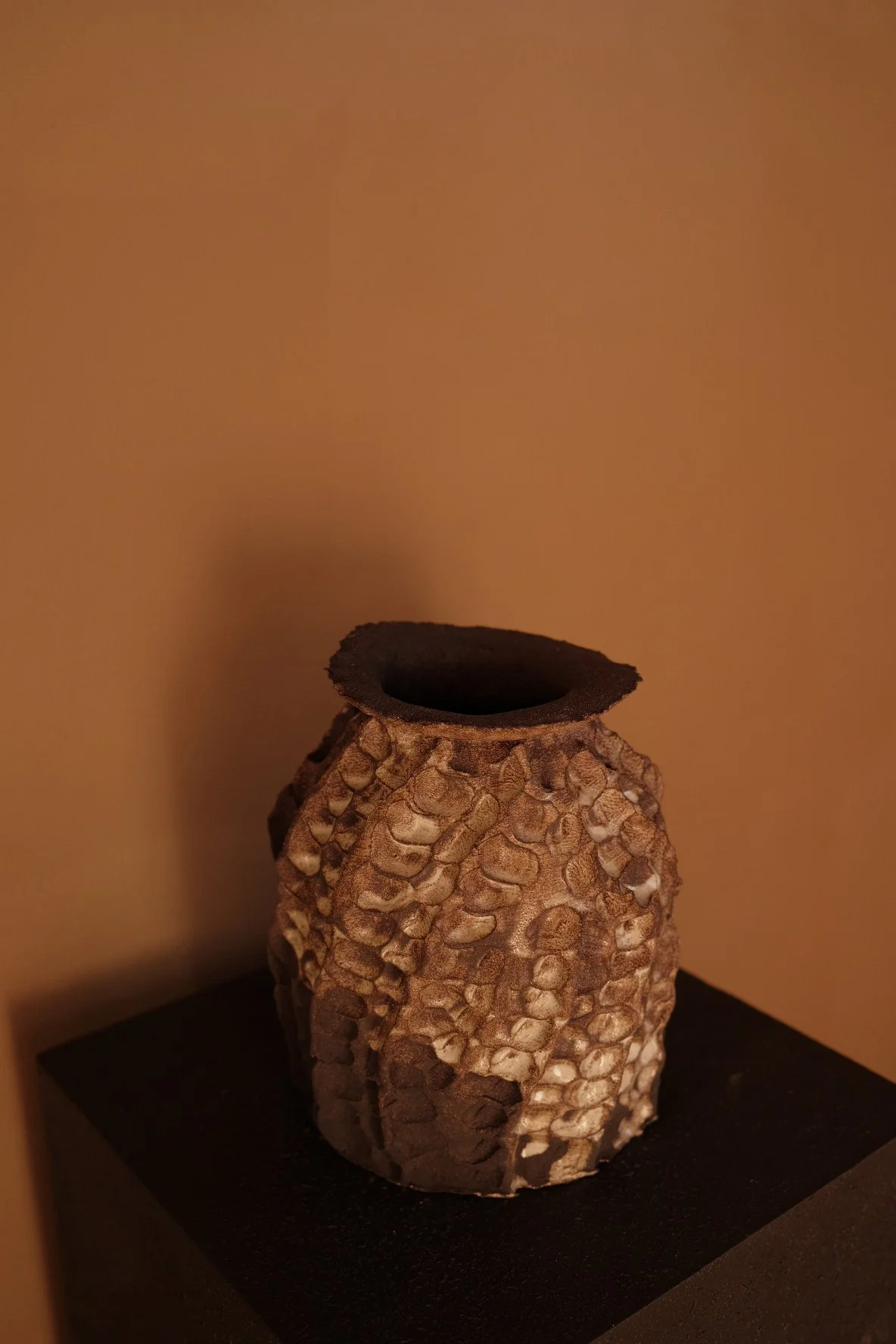 IMG_8952.JPG