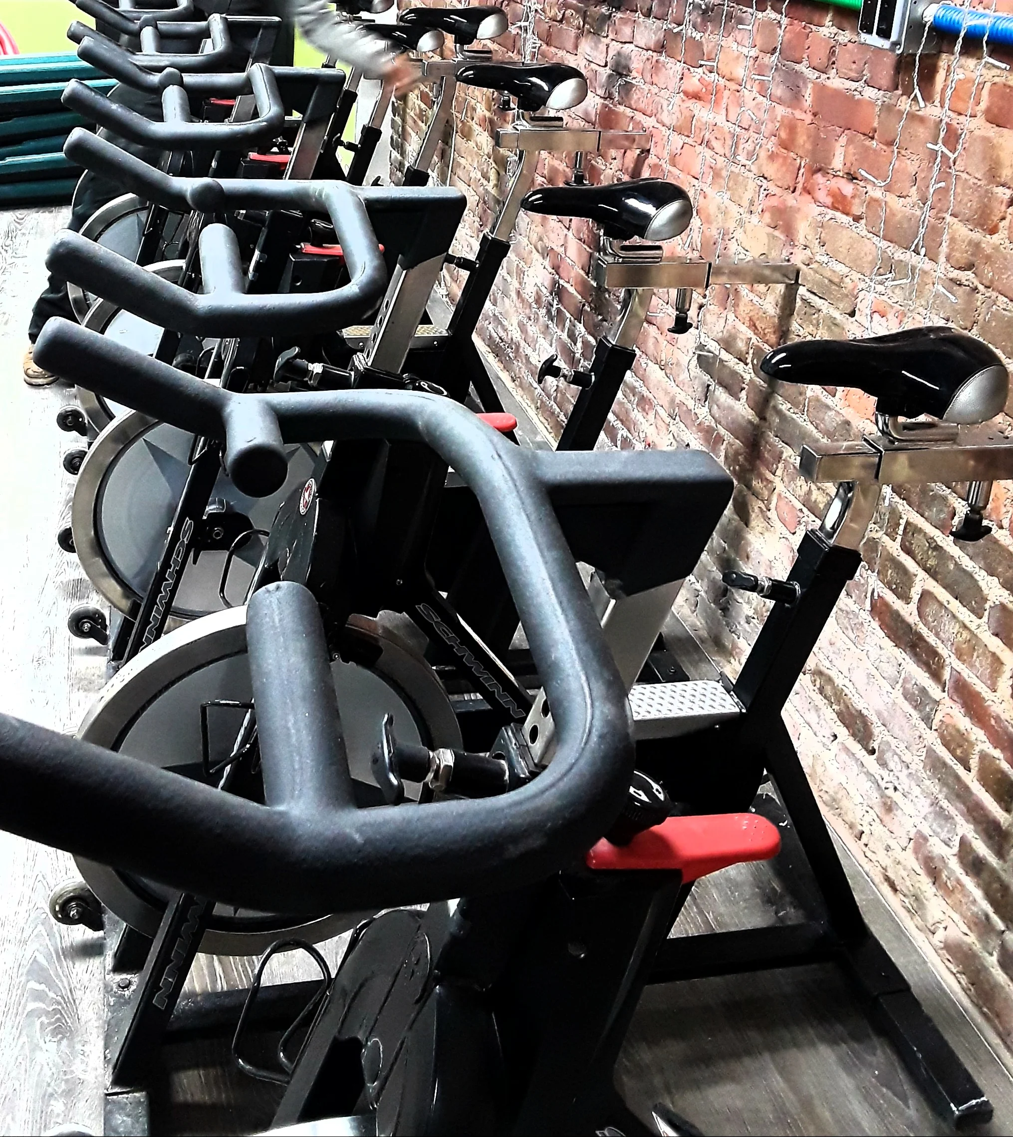 eyecycle-studio-wealf