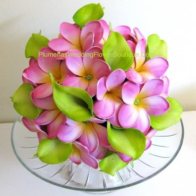 plumeria-bouquets-sandy-bastein.jpg