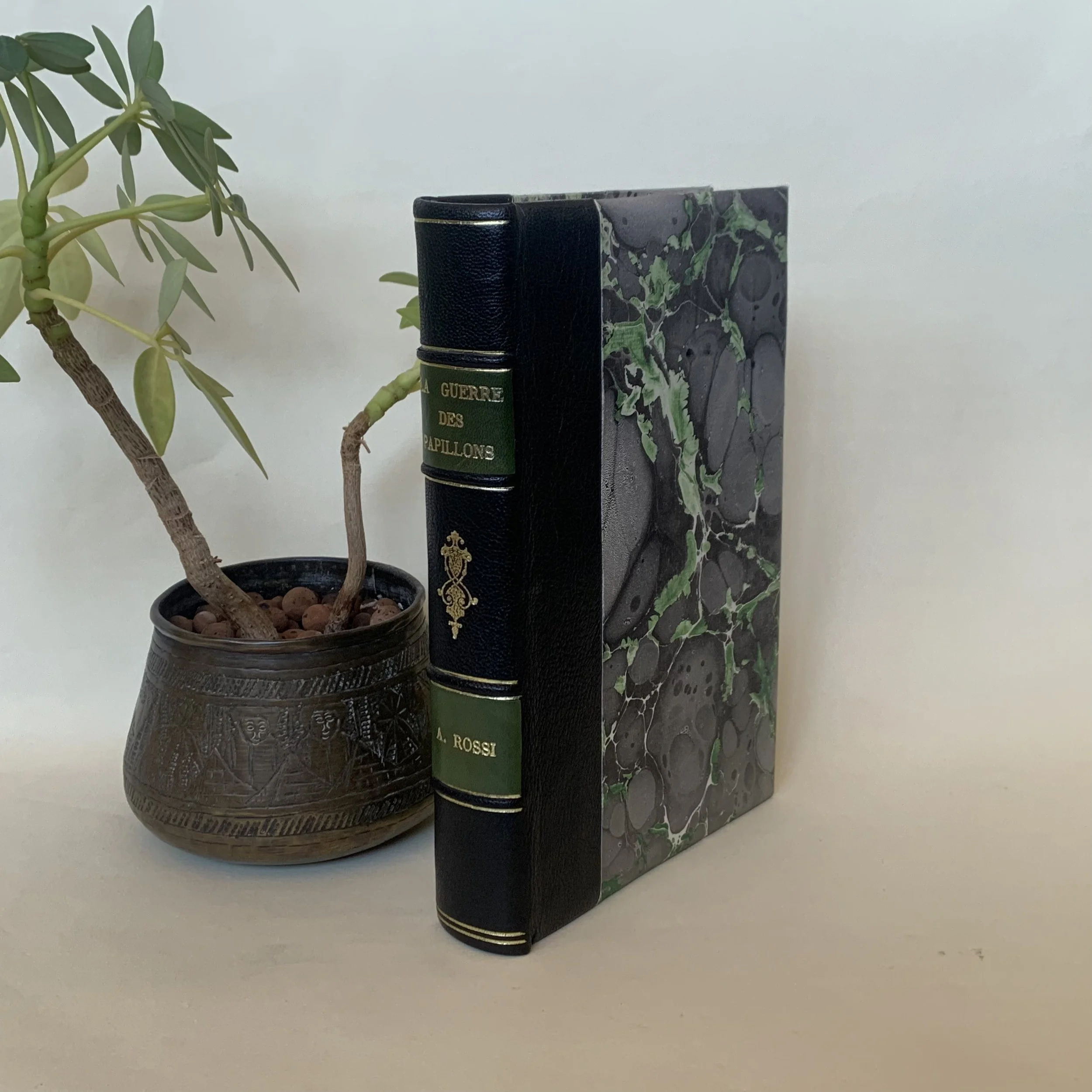 La guerre des Papillons - A. Rossi (Demi-reliure)