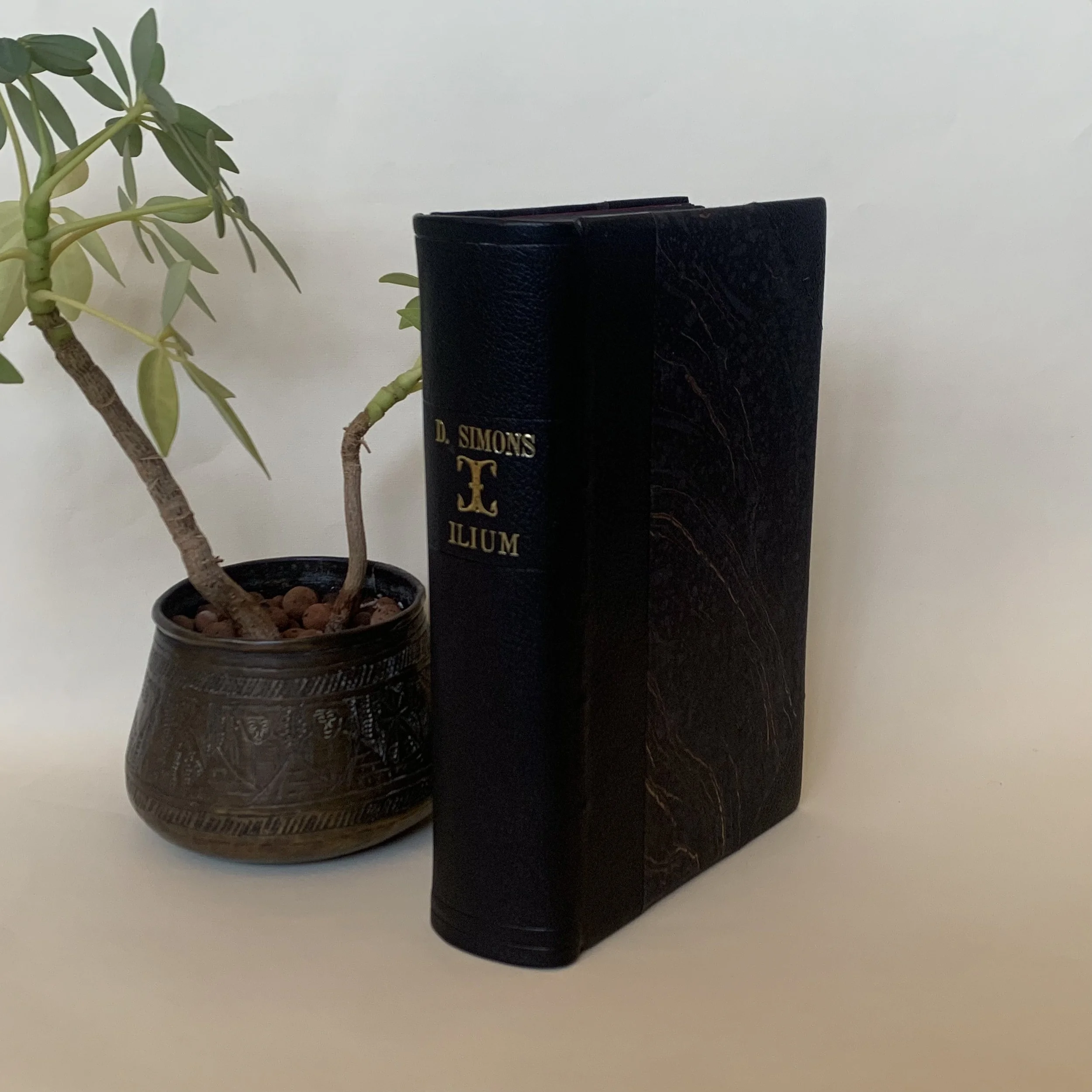 Ilium - D. Simmons (demi-reliure)