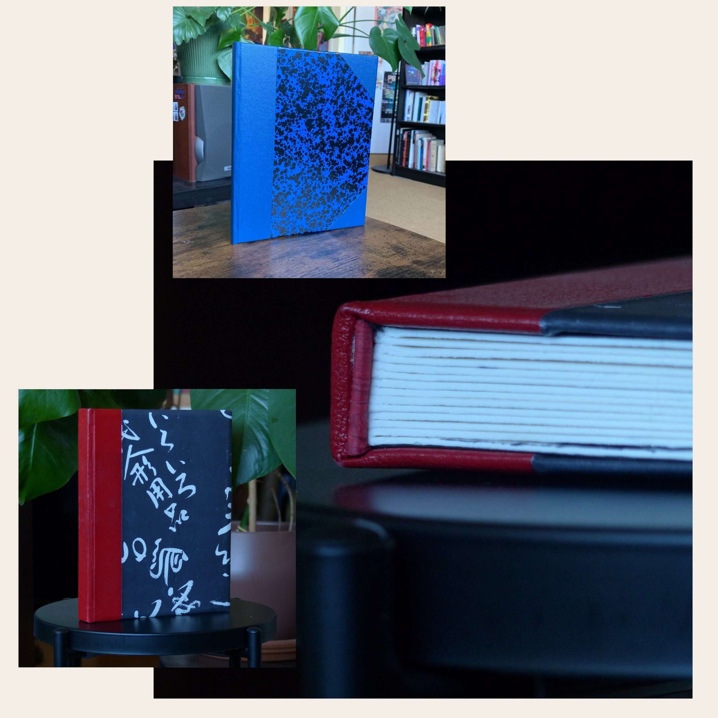 Livre bleu avec motifs noirs, posé sur une table en bois, dans un environnement intérieur avec étagères remplies de livres et des plantes vertes en arrière-plan.