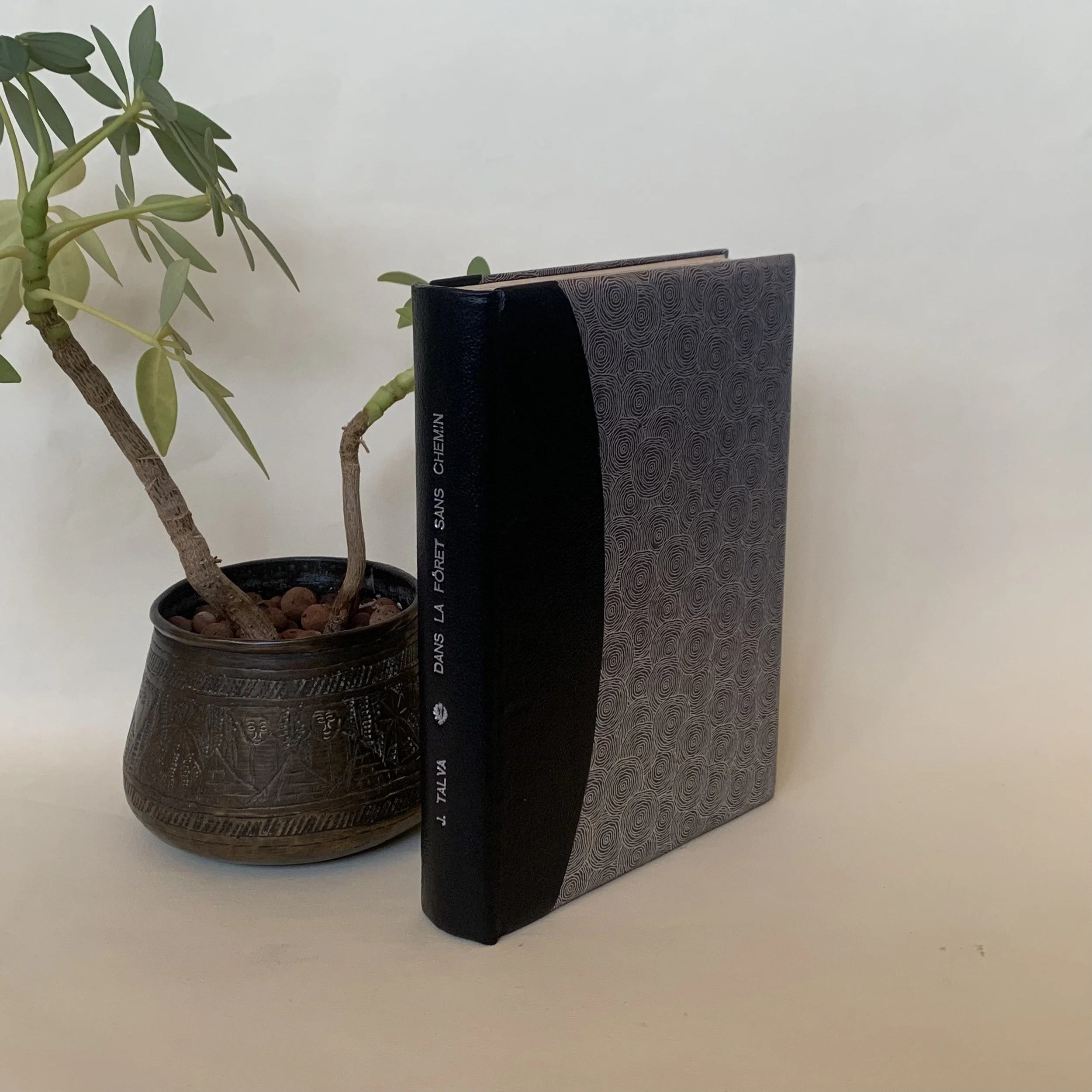 Dans la forêt sans chemin - J. Talva (demi-reliure)