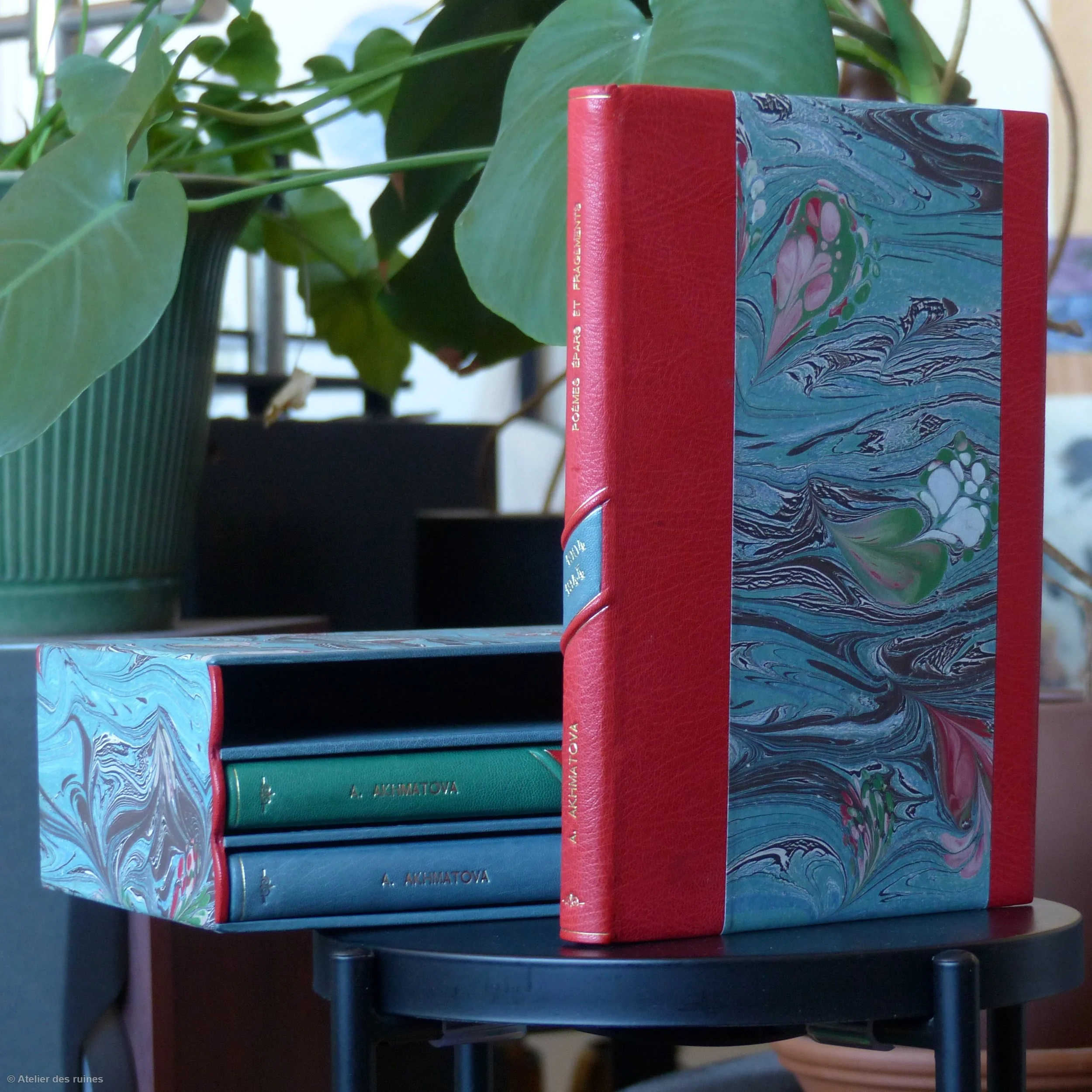 Une pile de livres avec des couvertures illustrées, placée sur une table en bois. En arrière-plan, il y a des plantes vertes, notamment une plante à grandes feuilles.