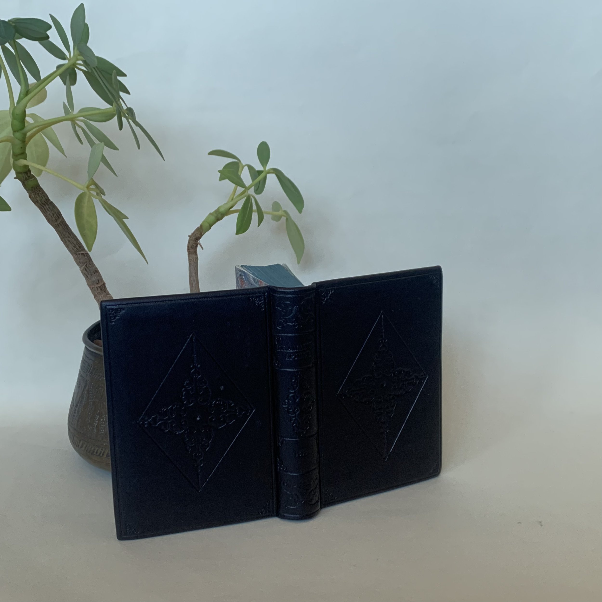 Almanach - A. Von Kotzbue (Reliure)