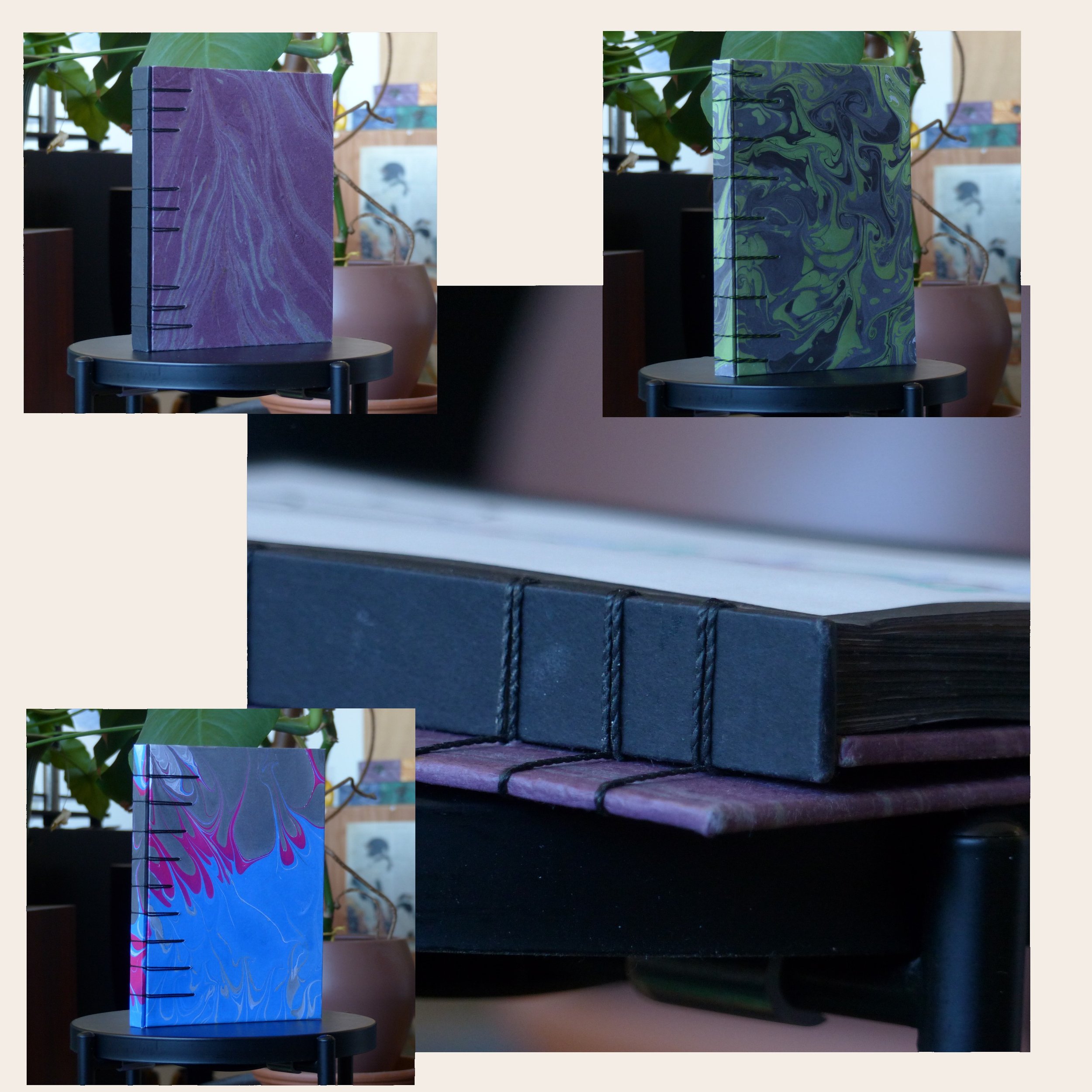 Deux livres debout sur une table, l'un avec une couverture violette et l'autre avec une couverture marbrée verte et noire, derrière des plantes en pot.