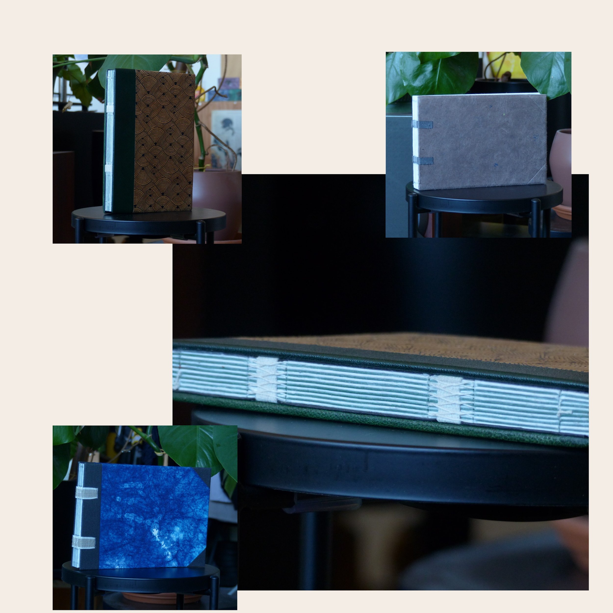 Deux livres posés sur une petite table noire, entourés de plantes vertes et d'un pot en ceramique rose, avec un décor intérieur