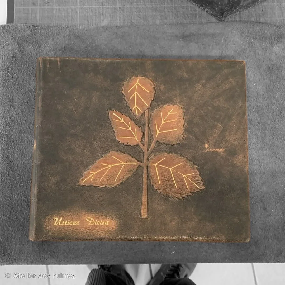 Grimoire herbier