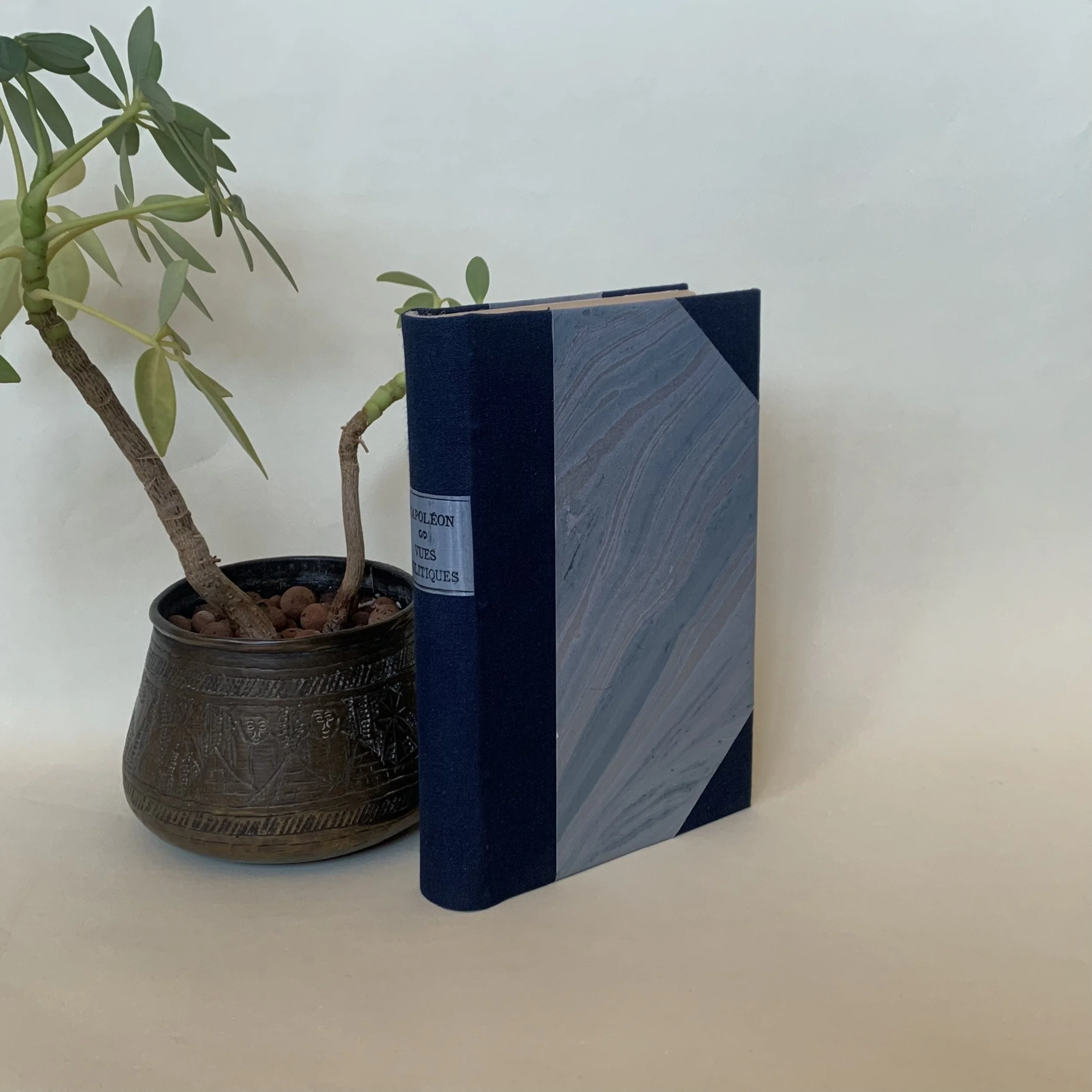 Vues Politiques - Napoléon (demi-reliure à coin)