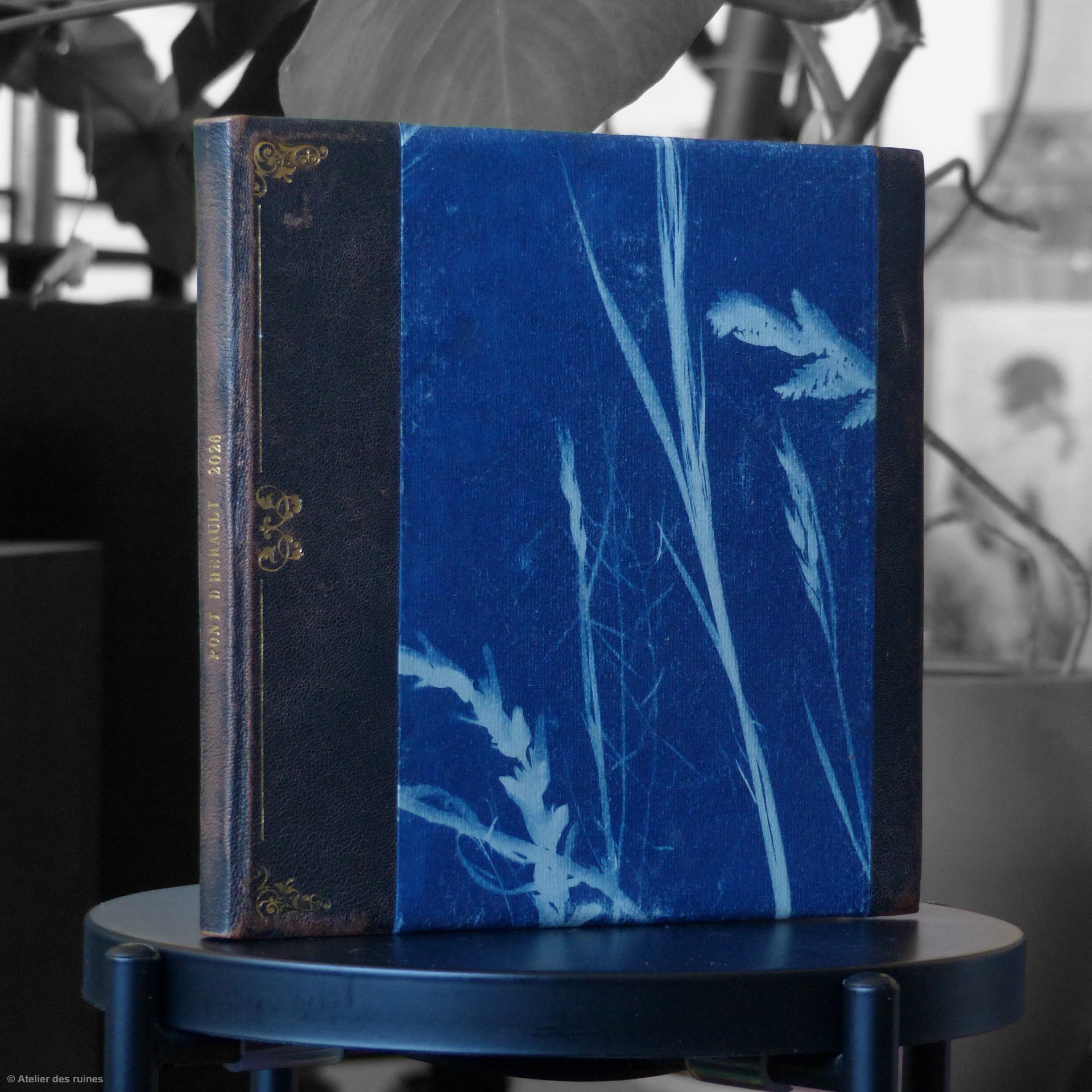 Grimoire cyanotypé