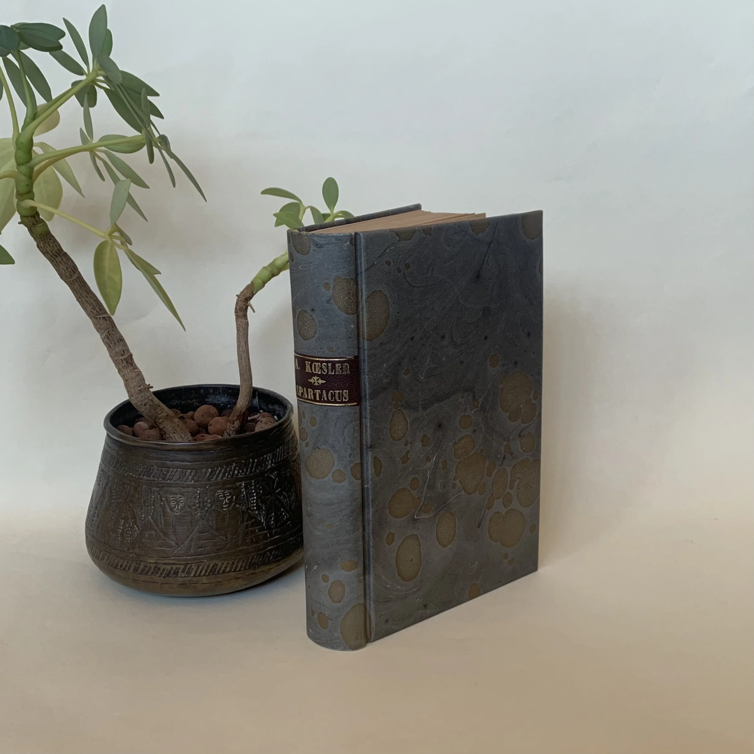 Spartacus - A. Koesler (Bradel)