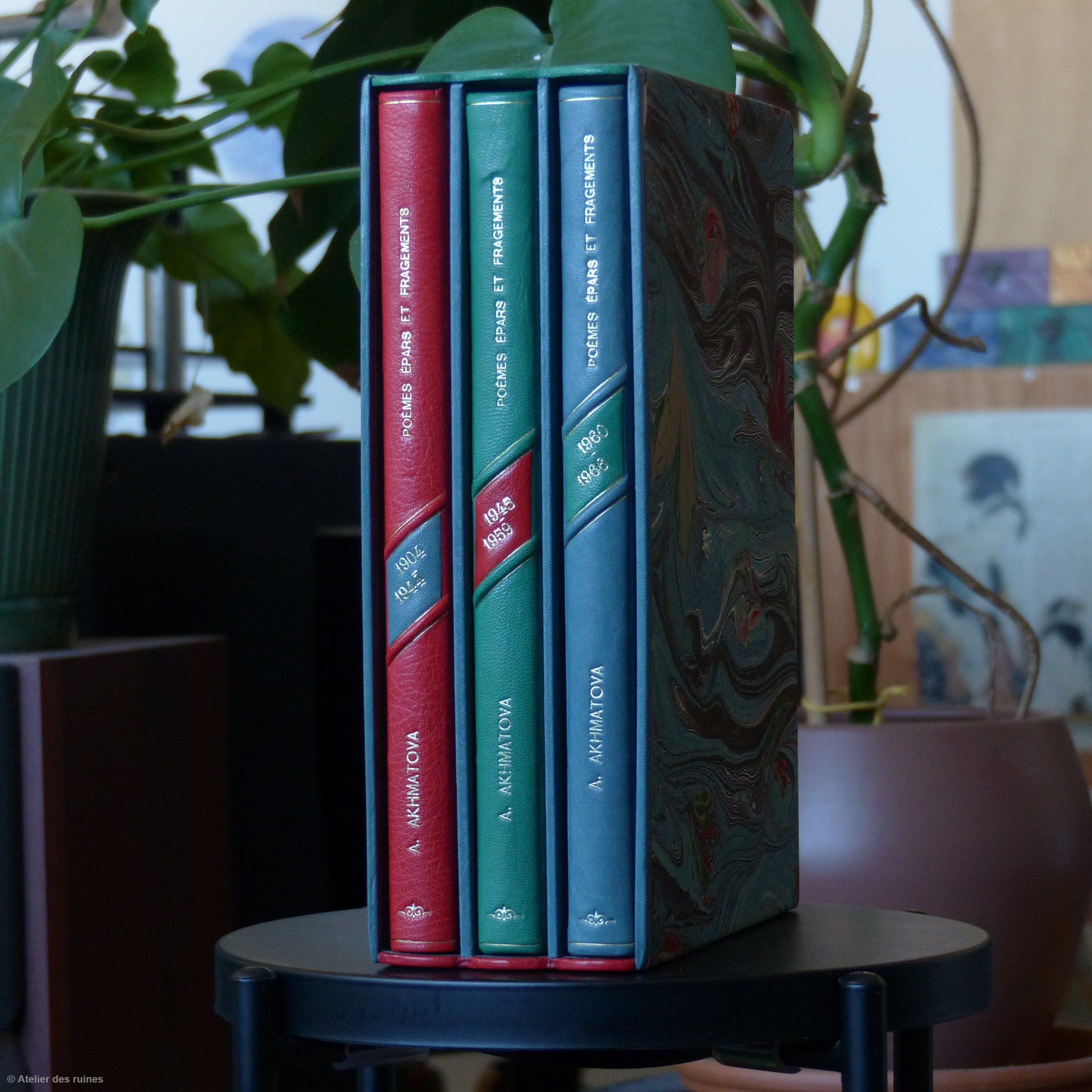 Une bibliothèque avec cinq livres colorés en rouge, vert, turquoise, bleu et noir, placés verticalement et emballés dans une boîte en marbre, entourée de plantes vertes.