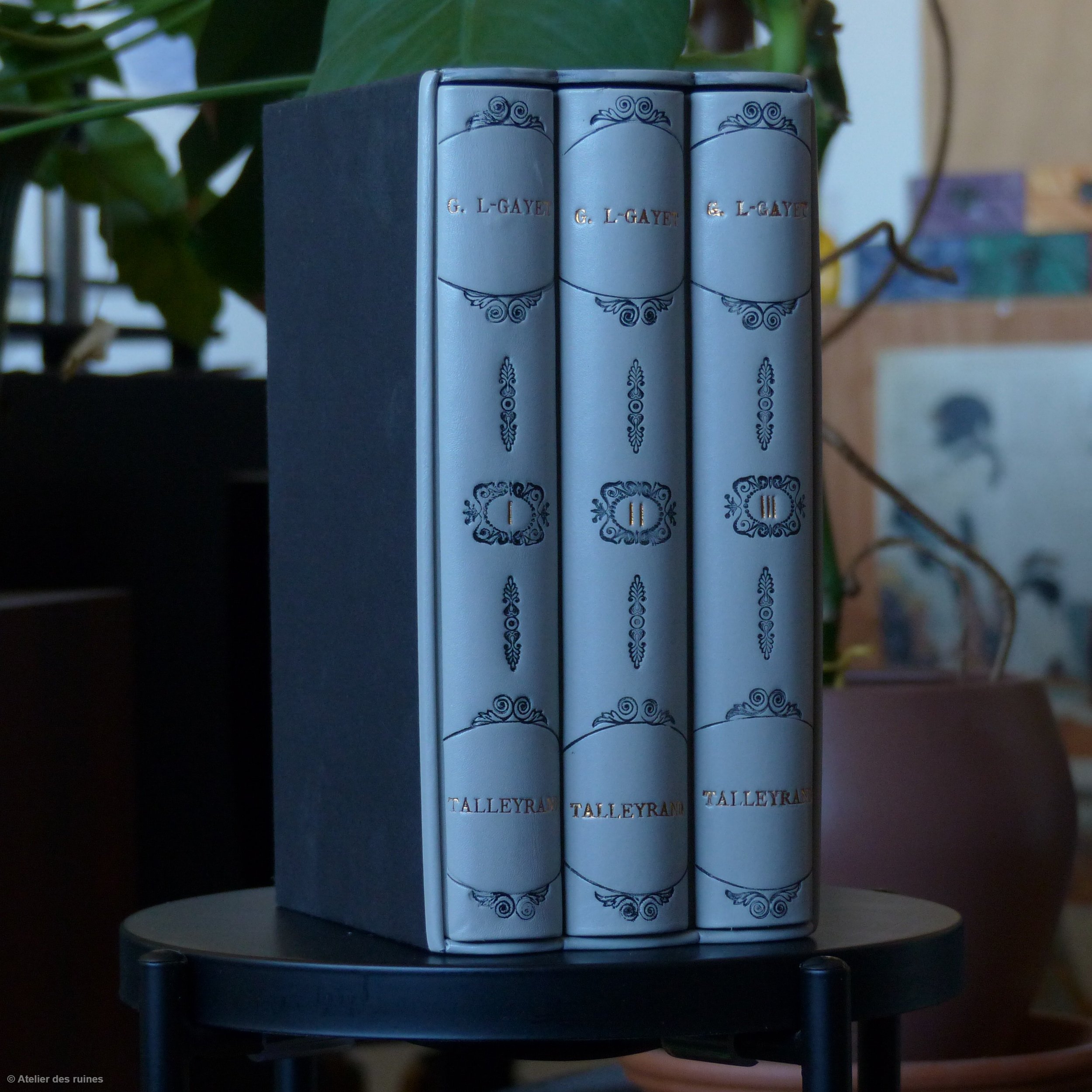 Une collection de livres encadrés avec les noms "Tallyrand" et "G. L. Gayet" sur la tranche, posée dans un environnement intérieur avec des plantes vertes en arrière-plan.