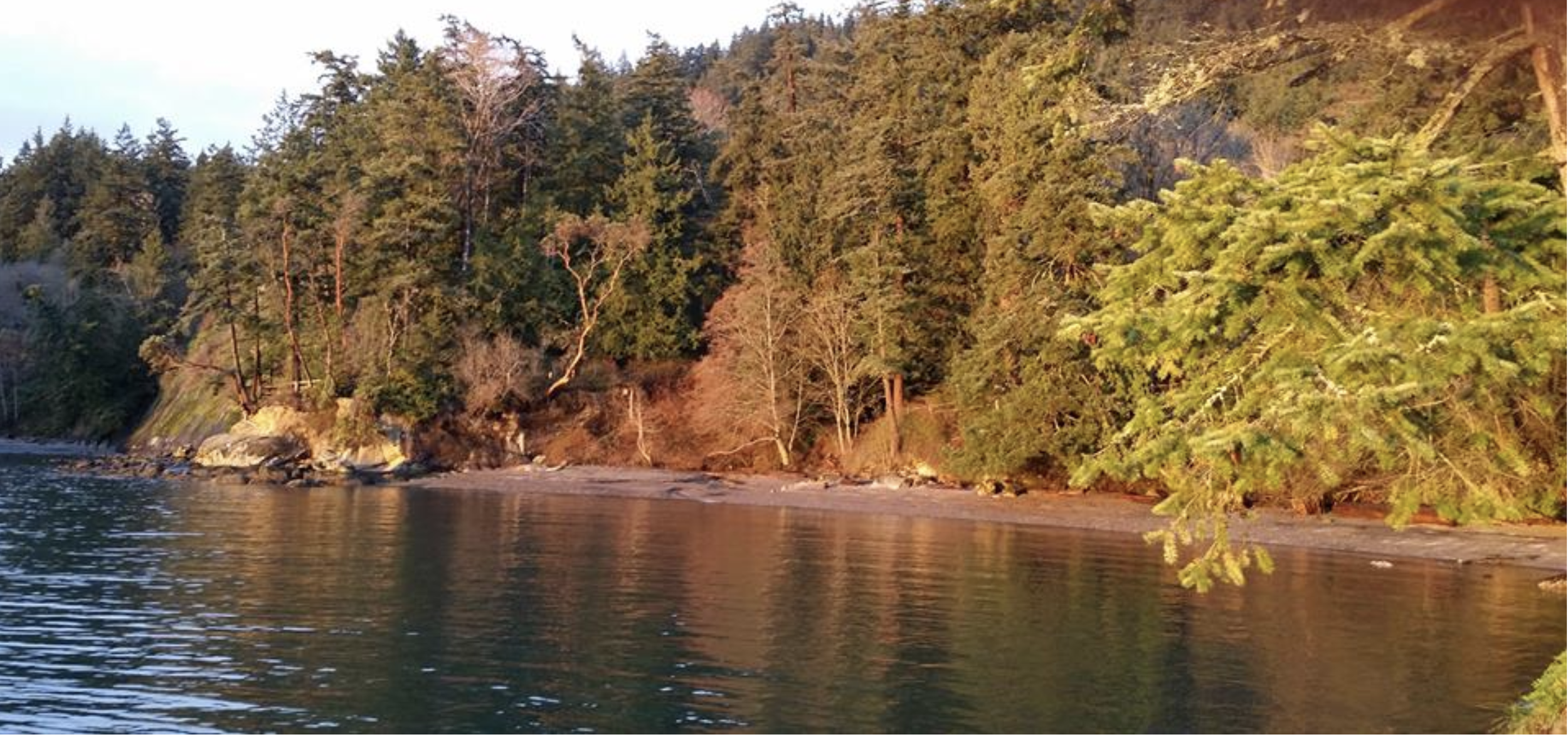 Culture shifters of the northwest