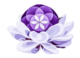 A stylized purple and white lotus flower with layered petals.