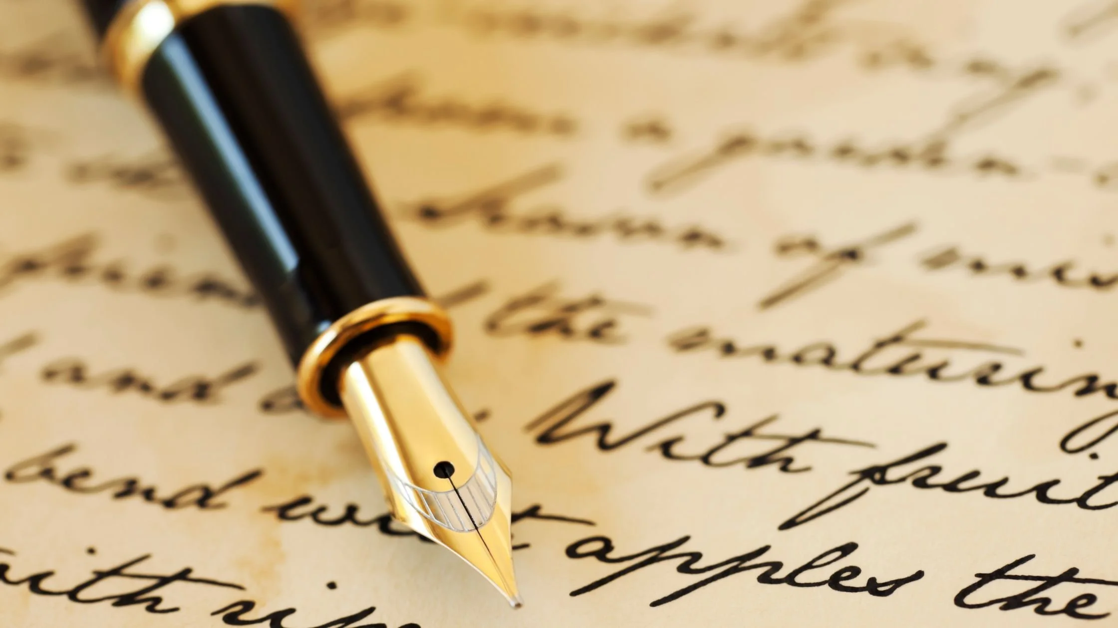 What is a proofreader?