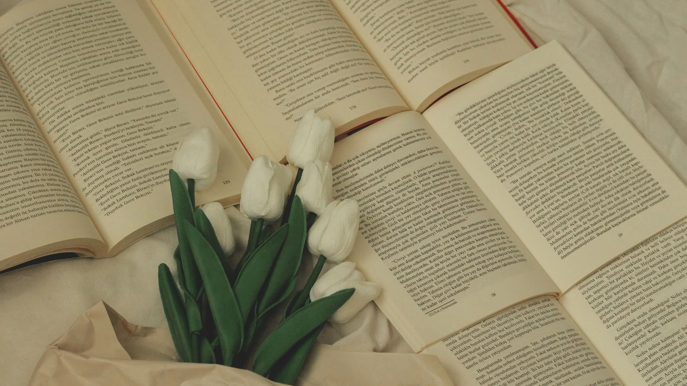 What is a beta reader?