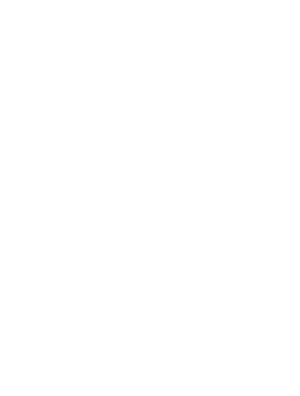 Fae media