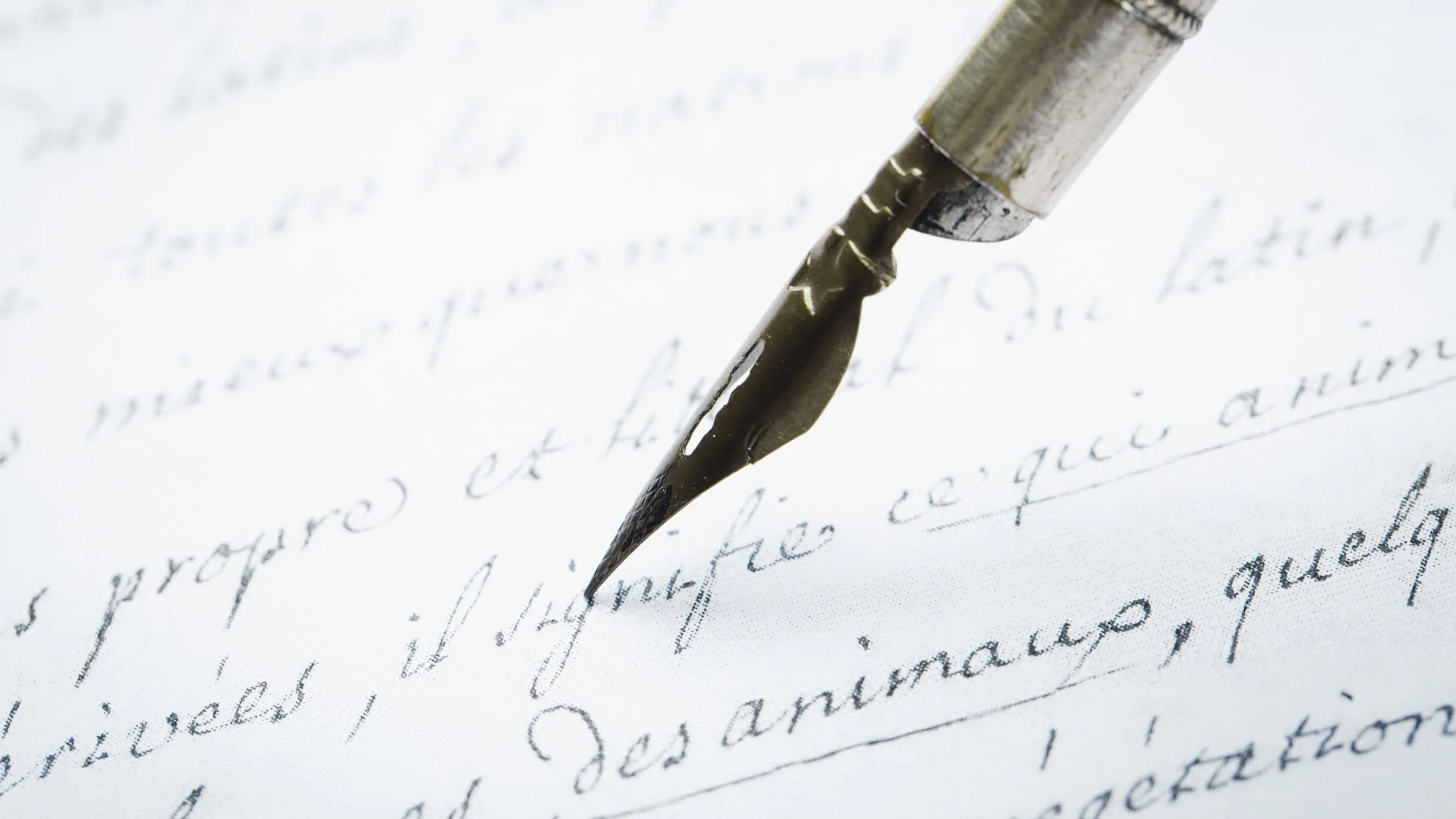 What is a copyeditor?