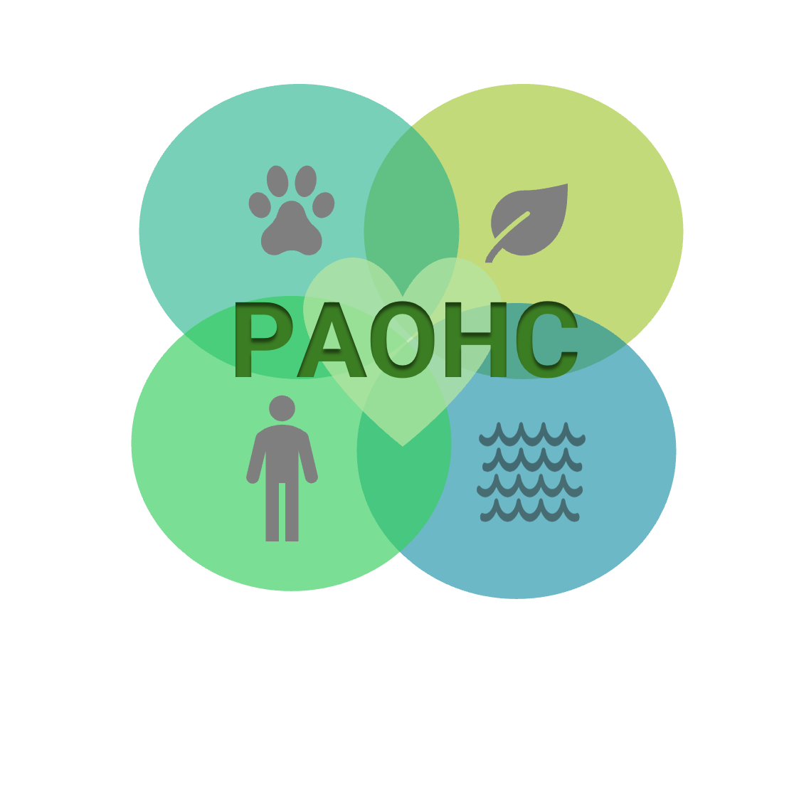 PAOHC logo.