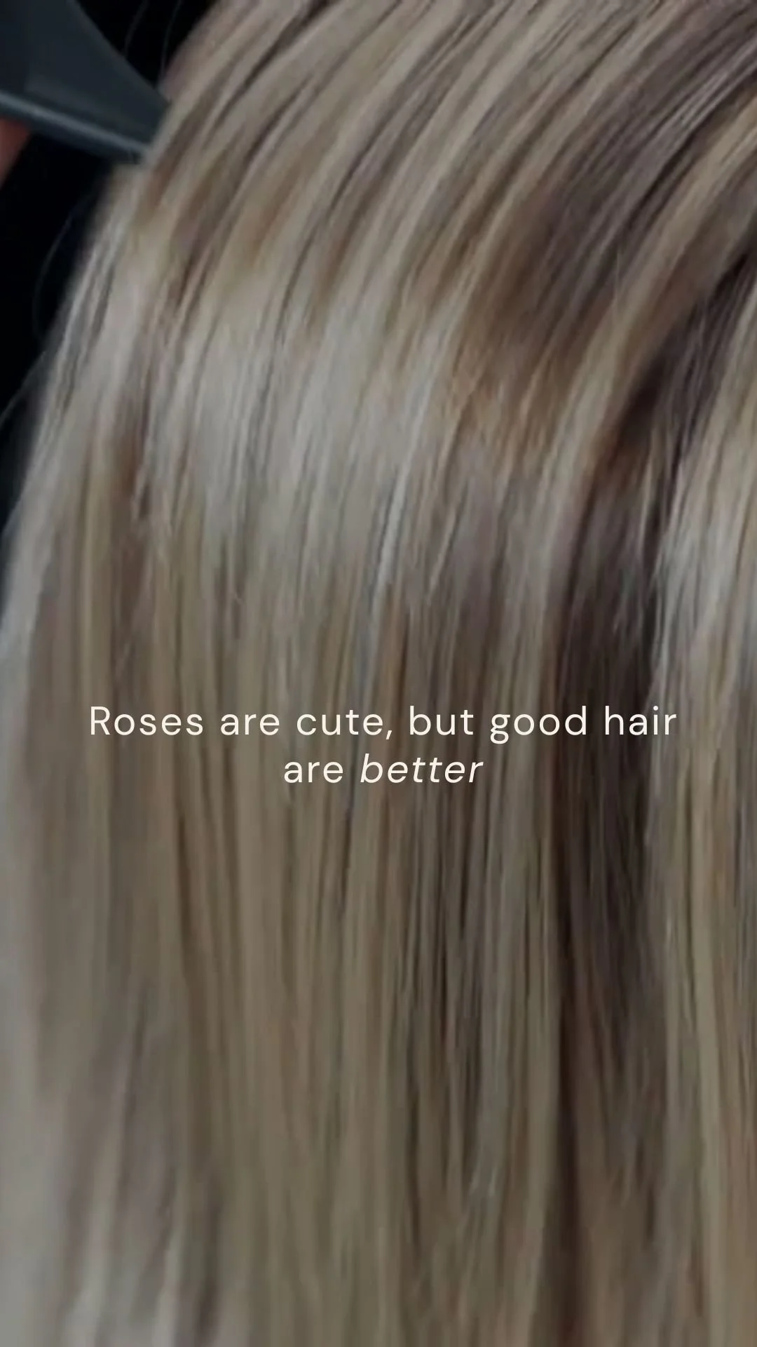 Roses are cute, but good hair are better
