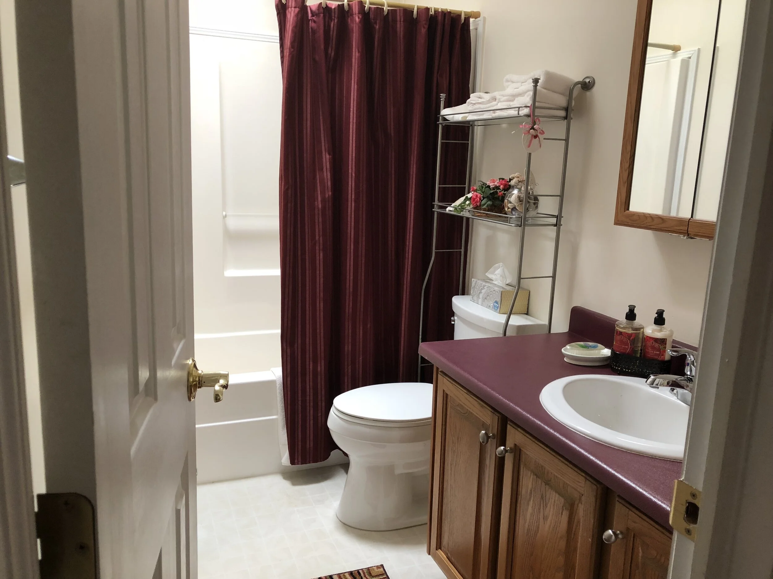 Guest Bath BEFORE...