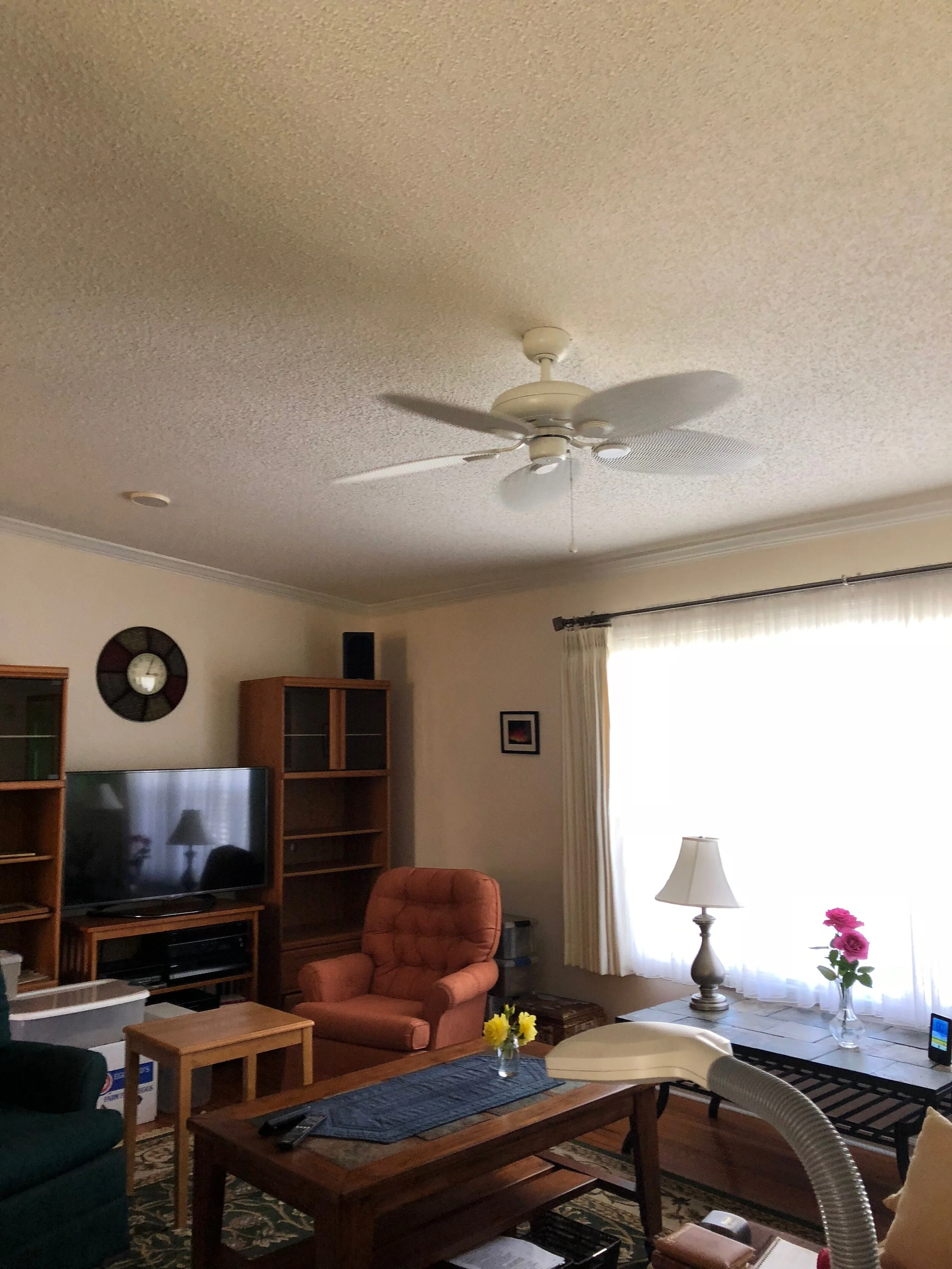 Living Room BEFORE...