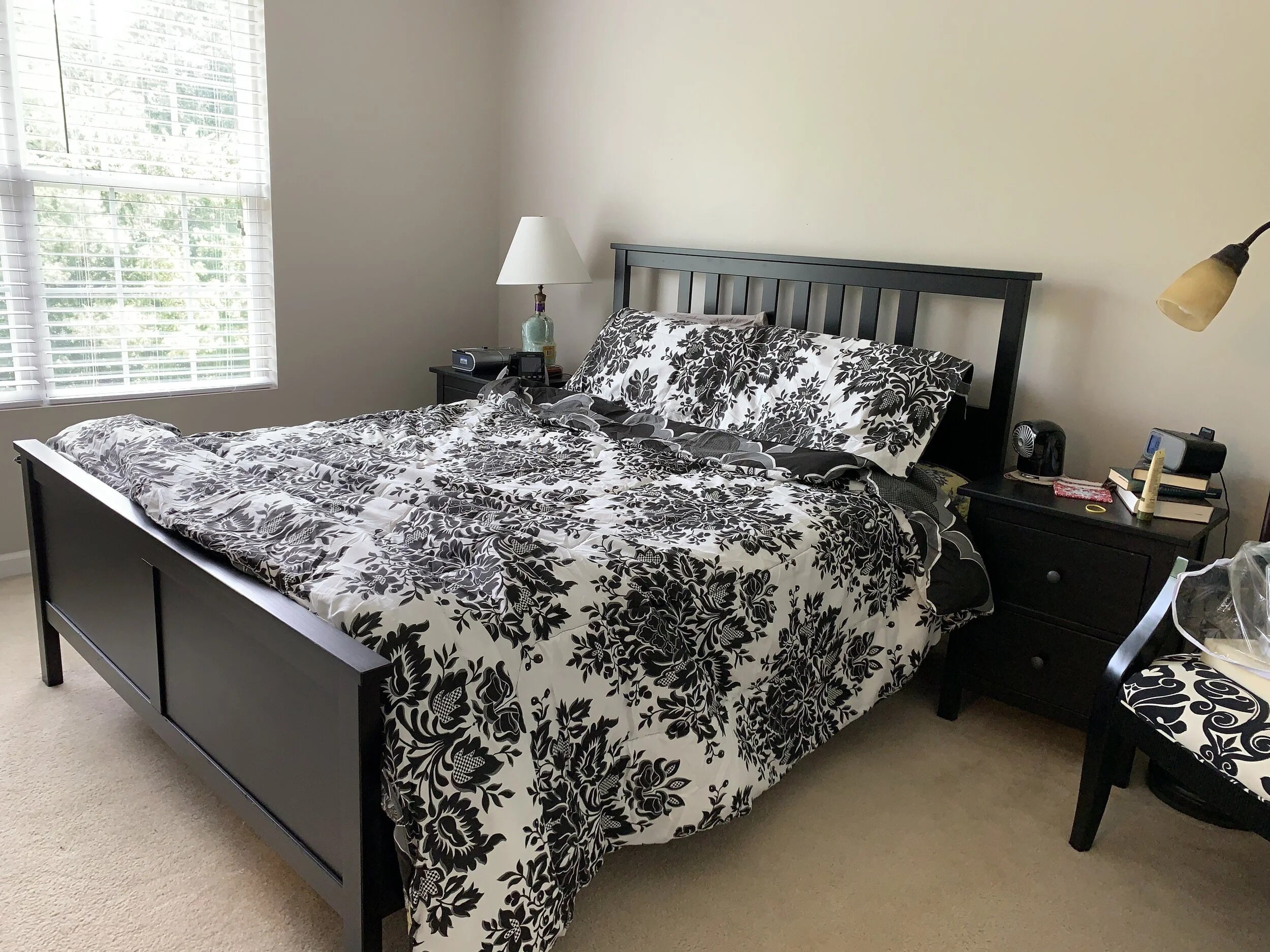 Master Bedroom BEFORE...