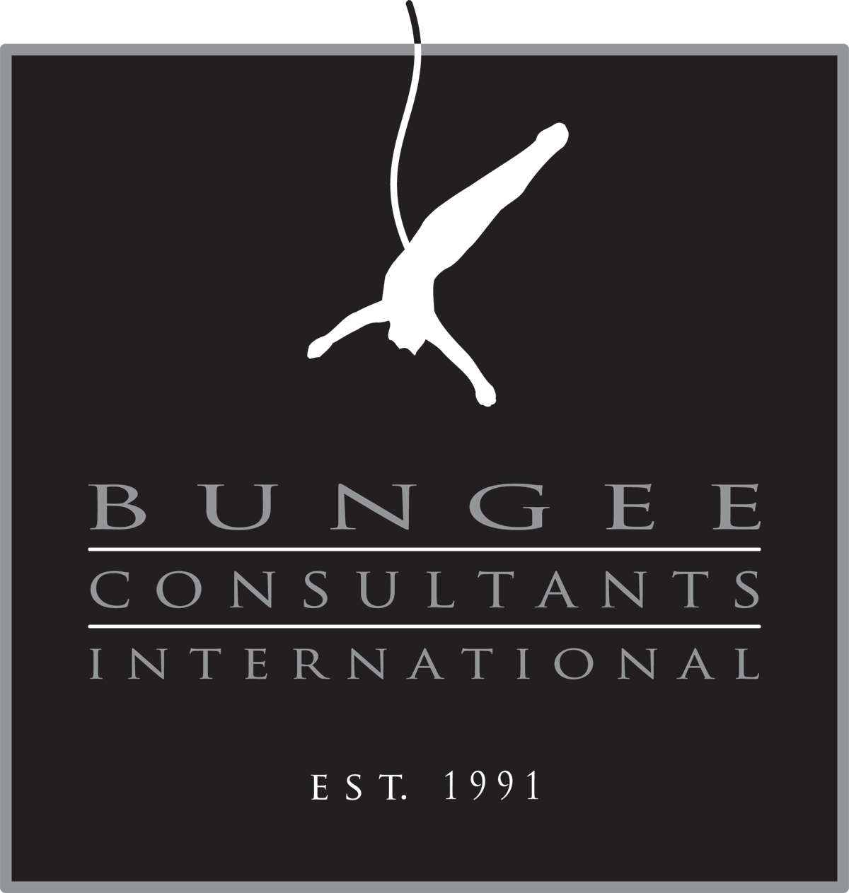 Bungee Consultants International (Copy)