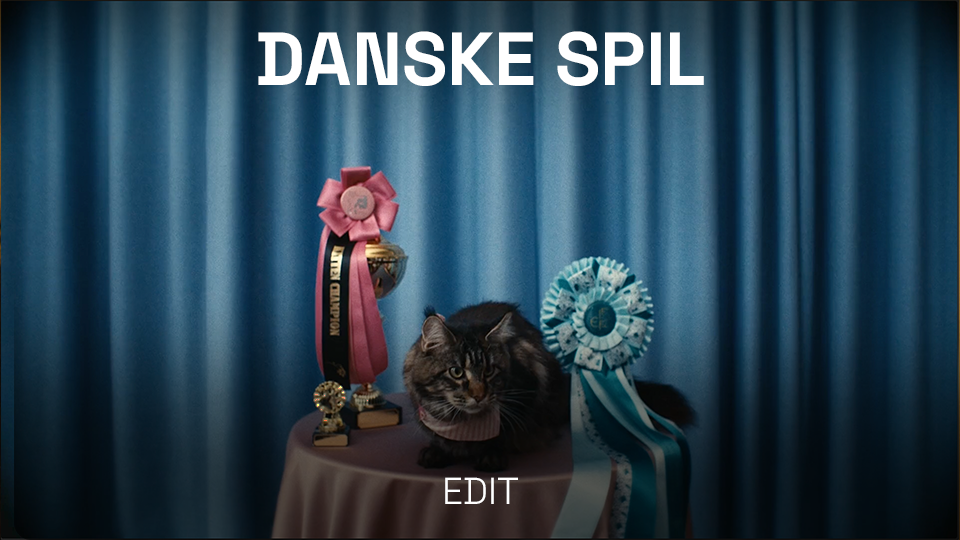 A black and brown tabby cat sitting on a table, with pink and blue ribbons and rosettes behind it, against a blue curtain backdrop. The image has the text 'DANSKE SPIL' at the top.