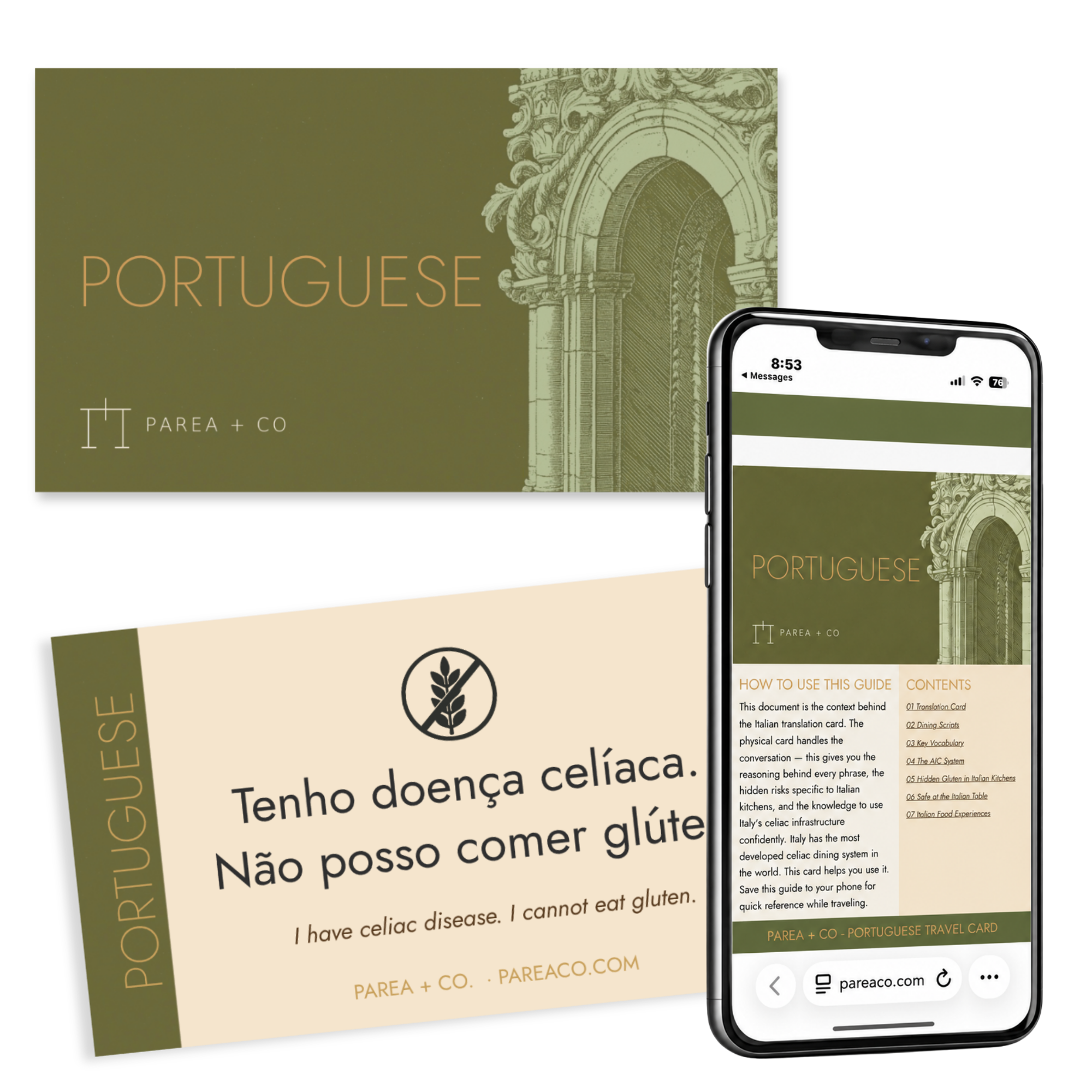 Portuguese Travel Set.png