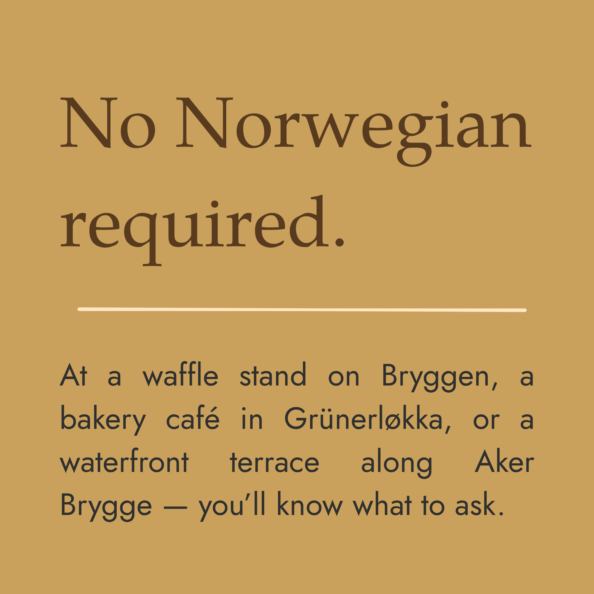 No Norwegian required.png