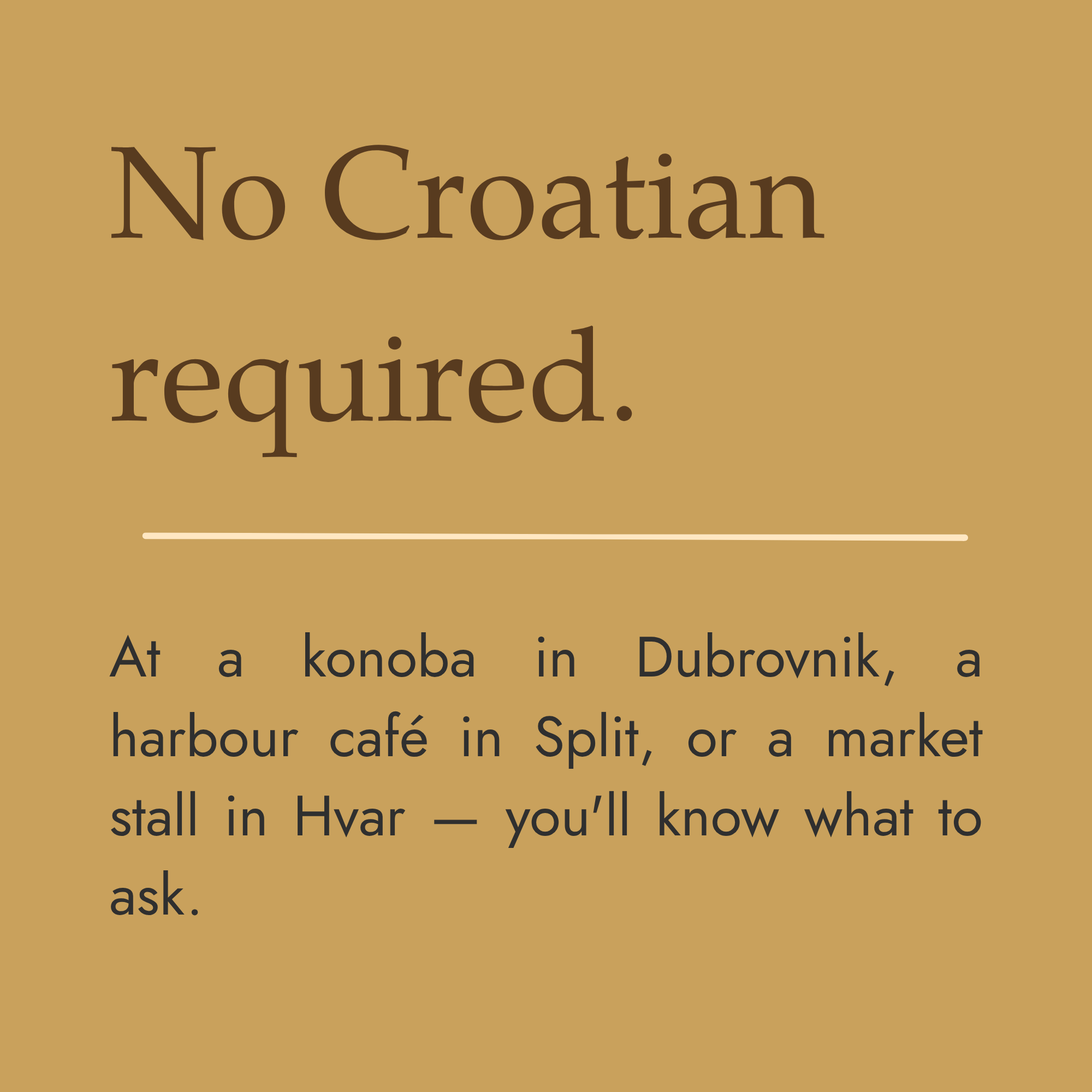 No Croatian Required.png